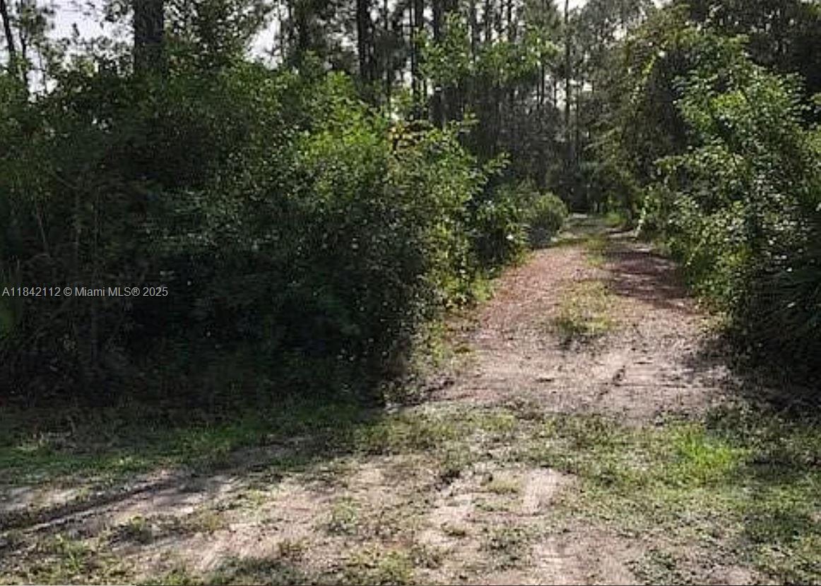 1714 Lake Ave, Lehigh Acres, Florida image 2