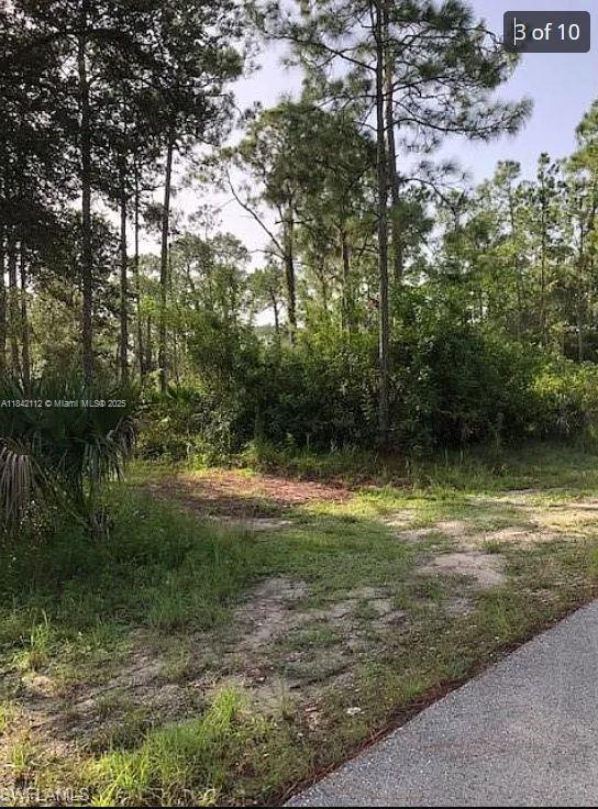 1714 Lake Ave, Lehigh Acres, Florida image 4