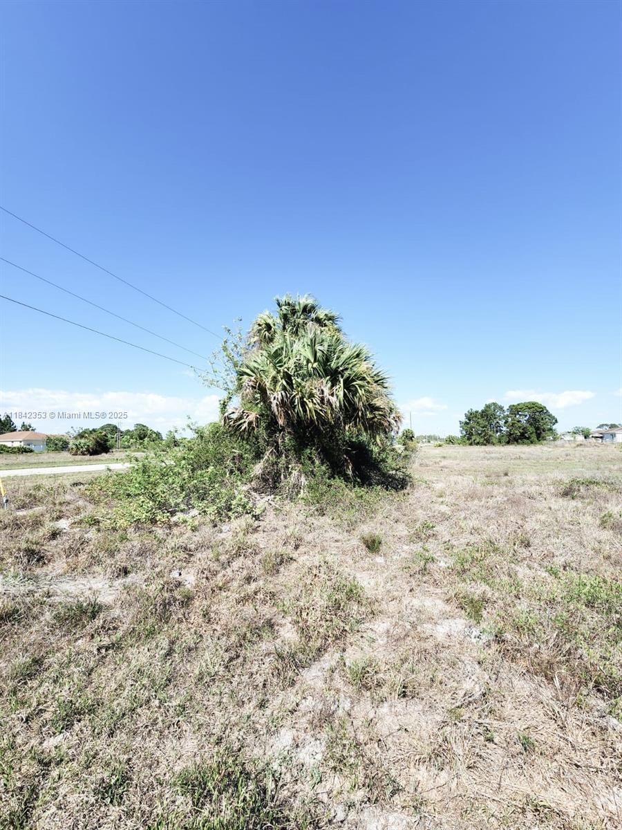834 Jaguar Blvd, Lehigh Acres, Florida image 3