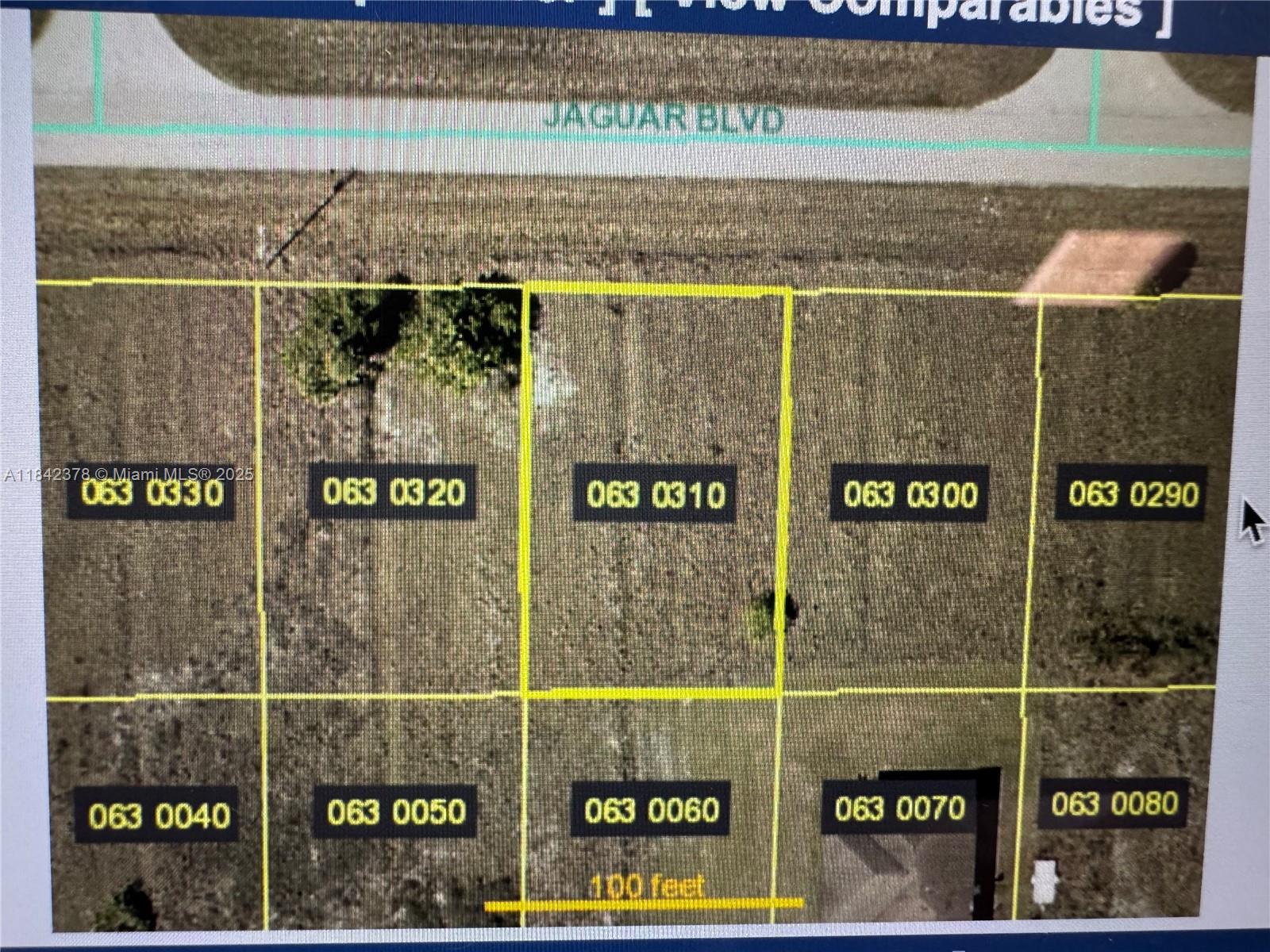 836 Jaguar Blvd, Lehigh Acres, Florida image 3