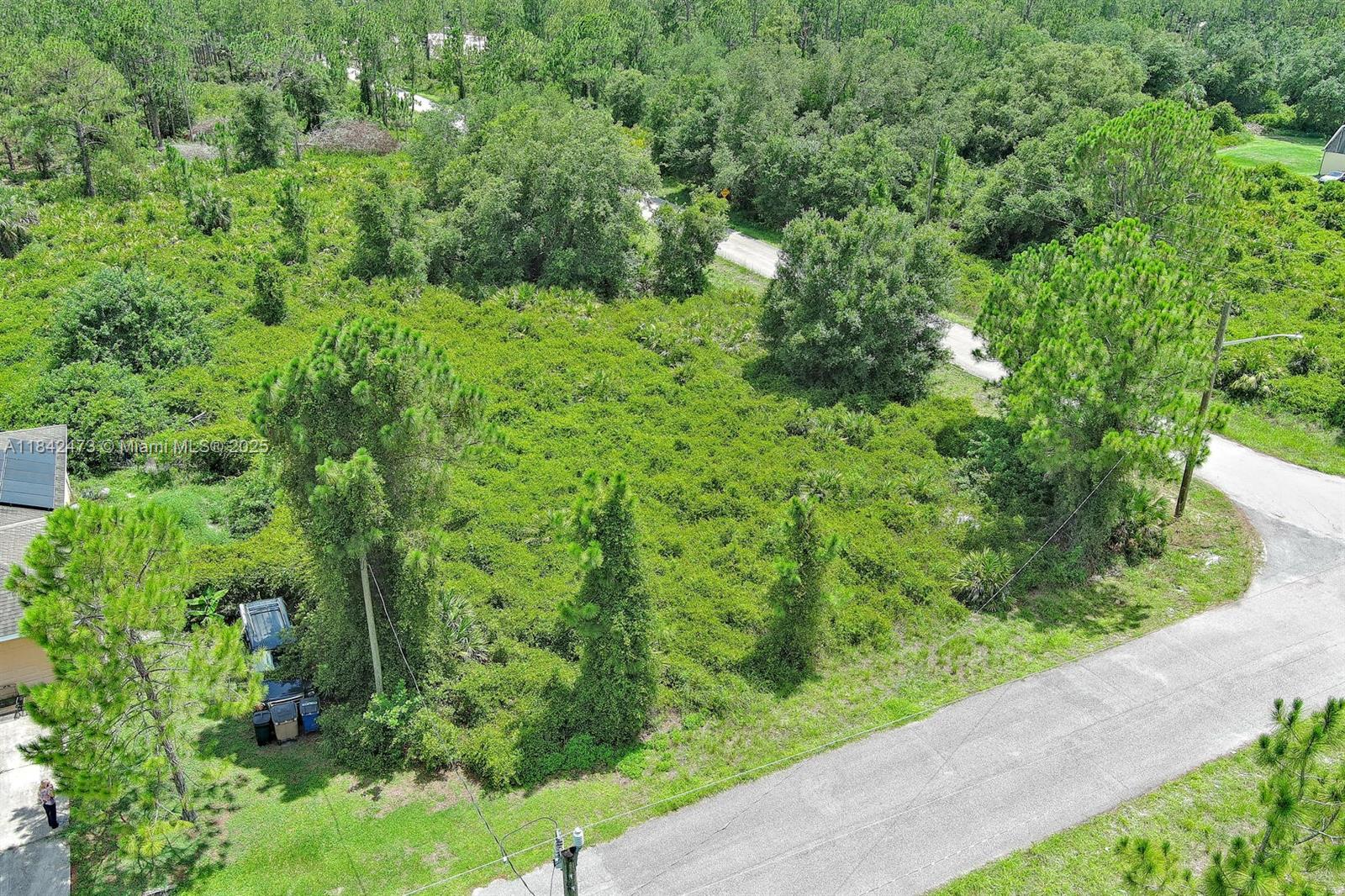3100 E 13th St, Lehigh Acres, Florida image 1