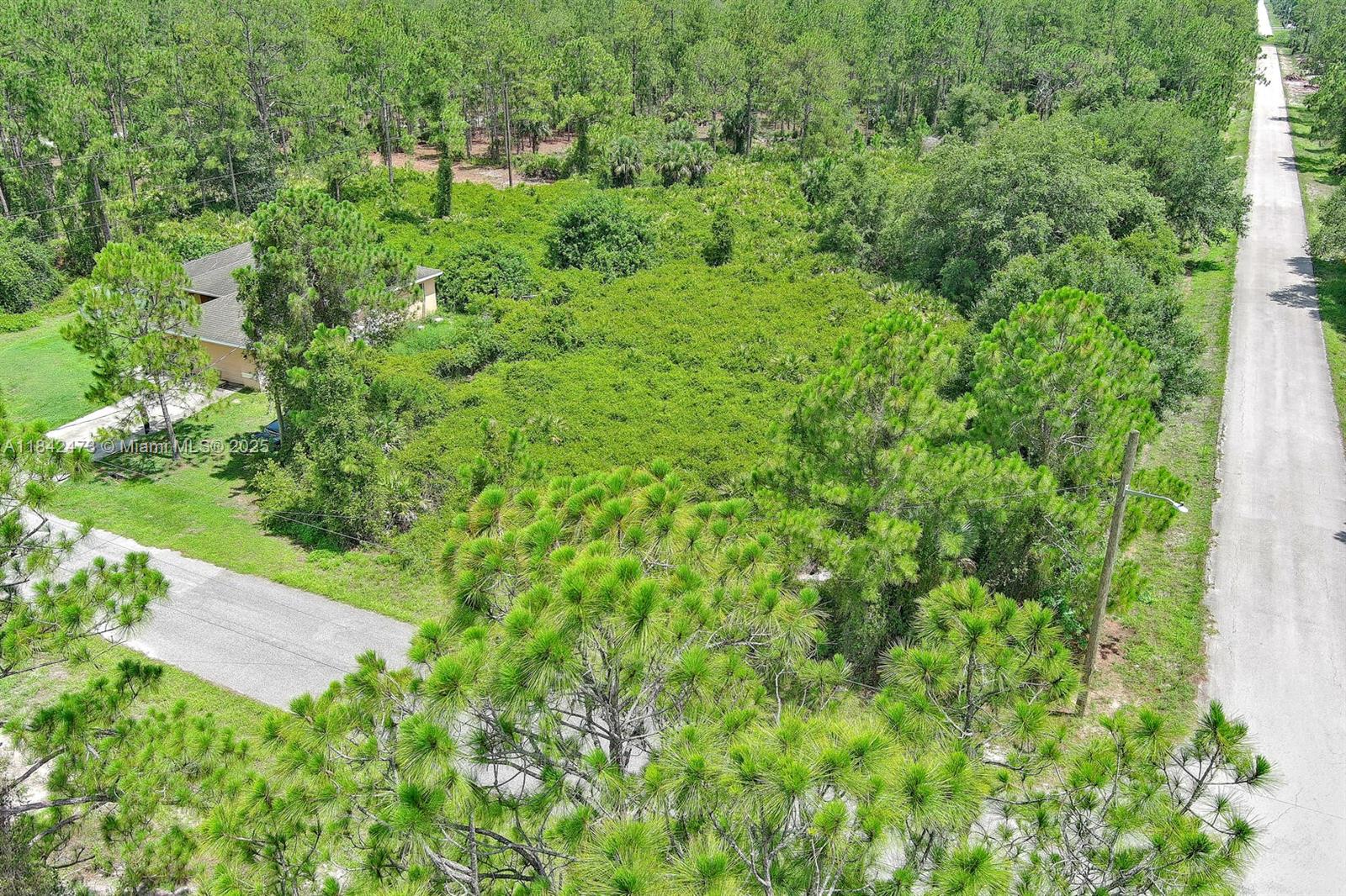 3100 E 13th St, Lehigh Acres, Florida image 5