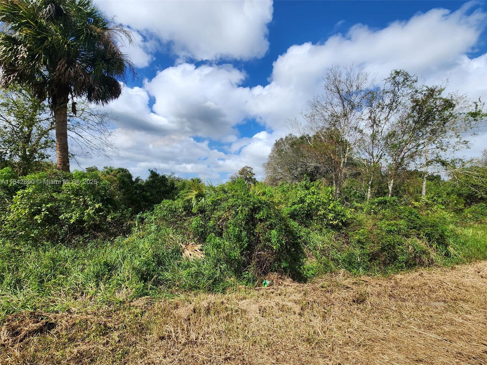 760 N Brida St, Clewiston, Florida image 2