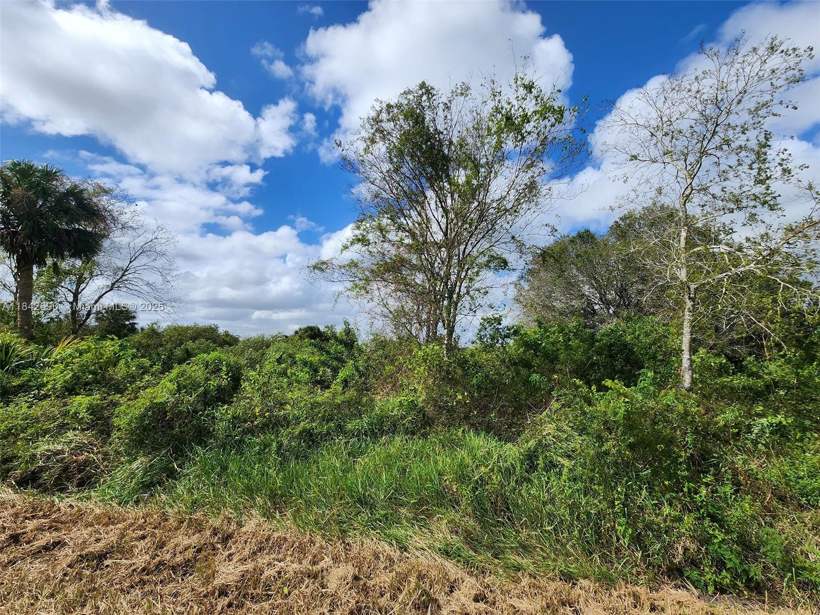 760 N Brida St, Clewiston, Florida image 7