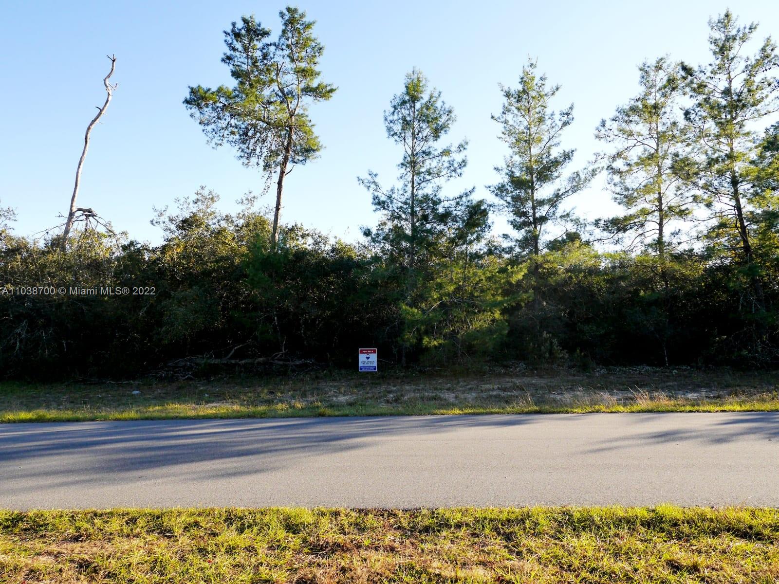 43 Ct & 44th Cir SE Marion Oaks Golf Way, Ocala, Florida image 12