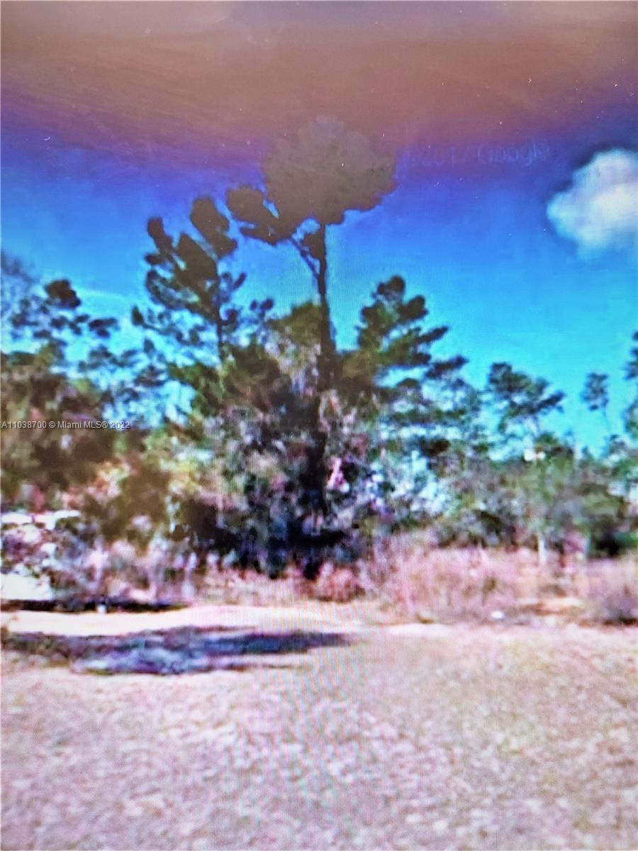 43 Ct & 44th Cir SE Marion Oaks Golf Way, Ocala, Florida image 14