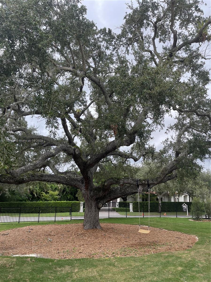 12505 Vista Ln, Pinecrest, FL 33156, 7 Bedrooms Bedrooms, ,8 BathroomsBathrooms,Residential,For Sale,Vista Ln,A11155939