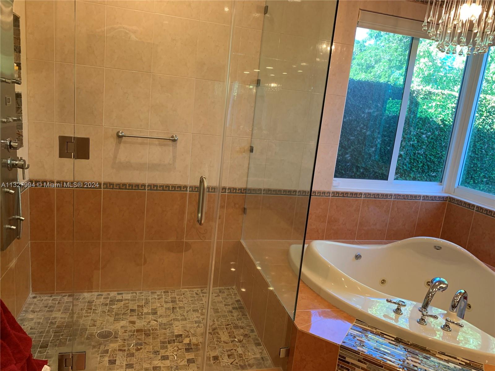 Owner's Suite Bathroom Shower/Spa
