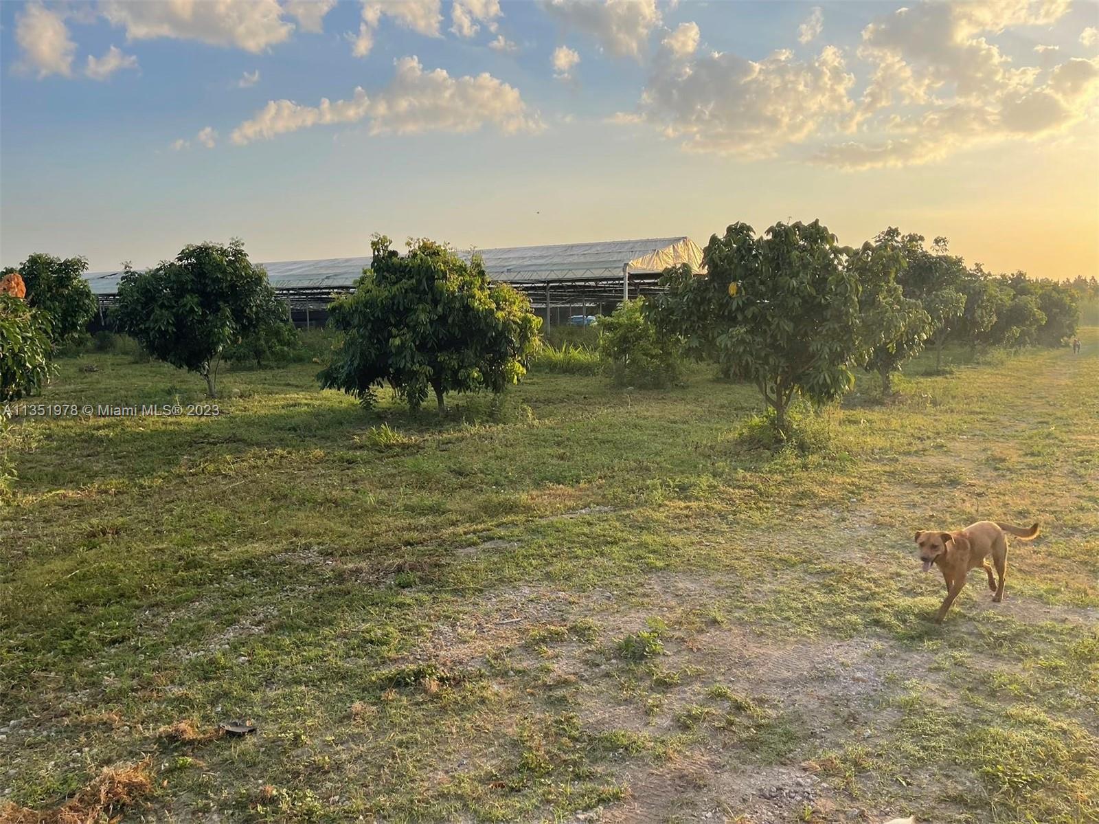 17801 SW 197 Ave, Miami, Florida 33187, ,Land,For Sale,17801 SW 197 Ave,A11351978