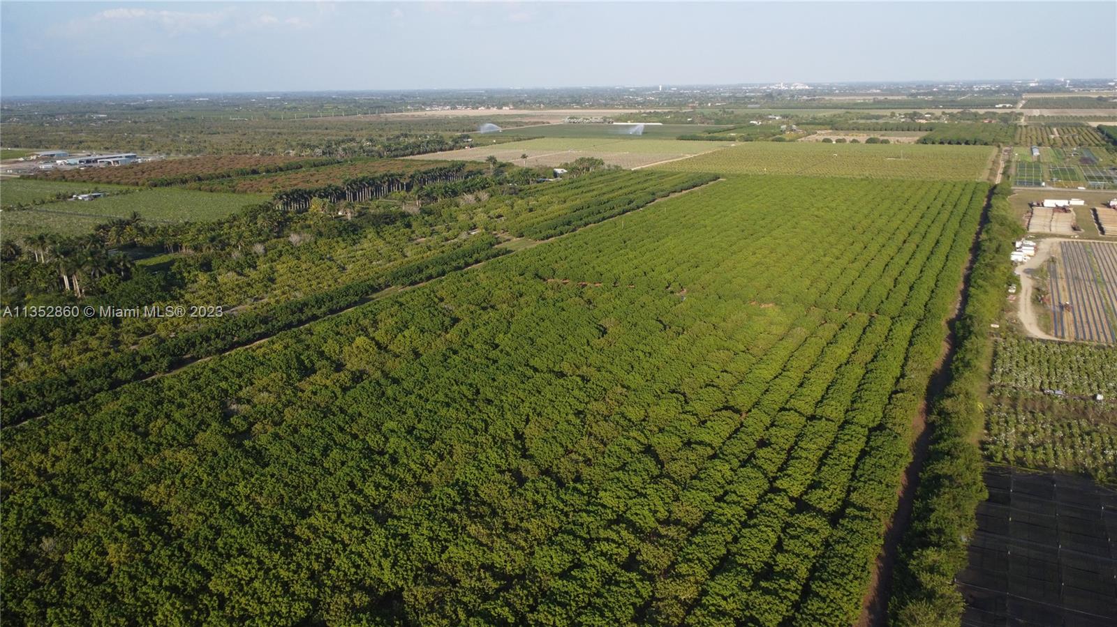 335XX SW 217 Ave, Homestead, Florida 33034, ,Land,For Sale,335XX SW 217 Ave,A11352860