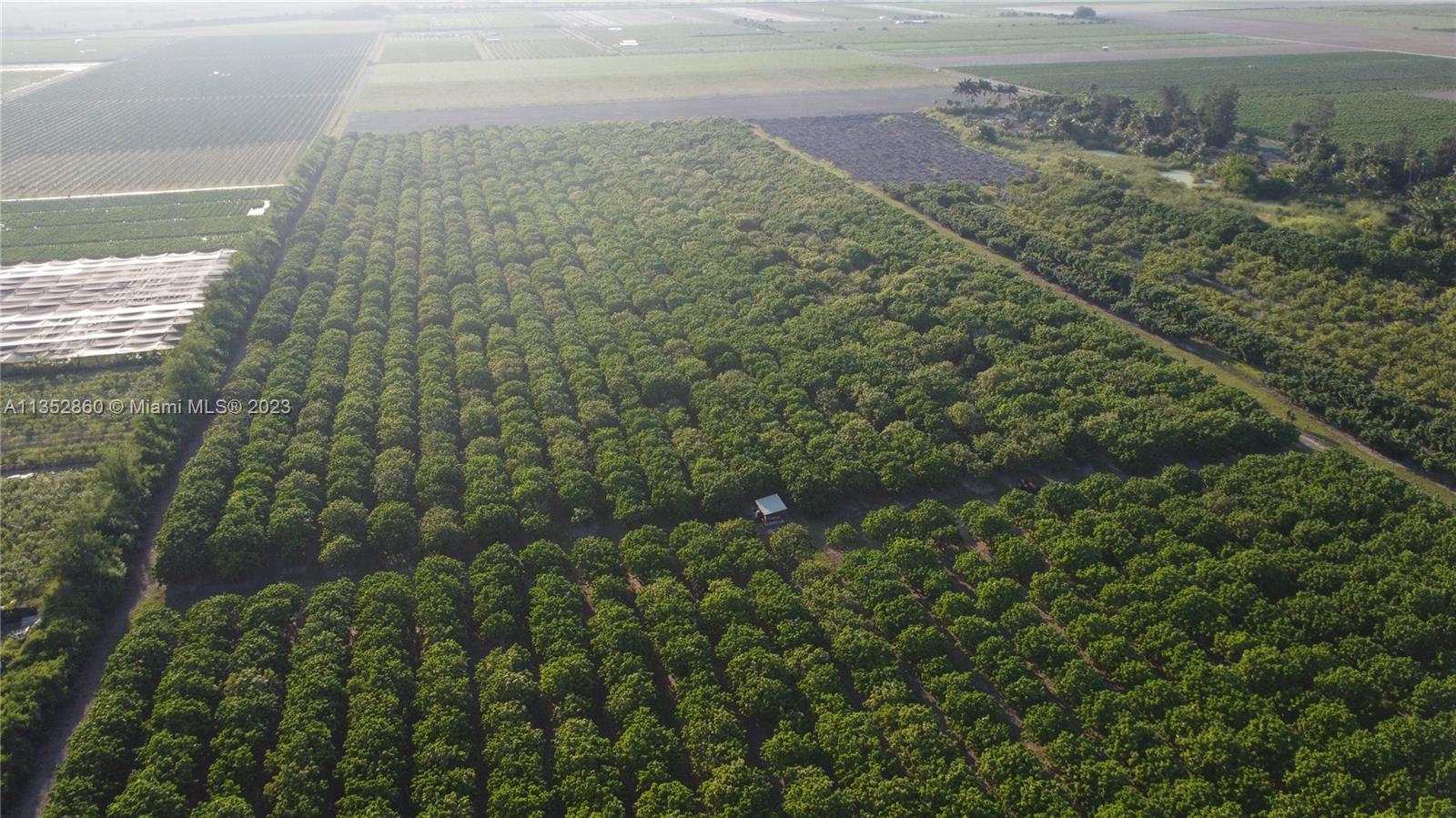 335XX SW 217 Ave, Homestead, Florida 33034, ,Land,For Sale,335XX SW 217 Ave,A11352860