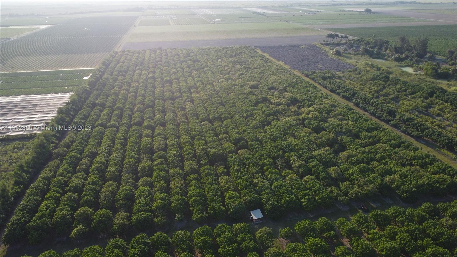 335XX SW 217 Ave, Homestead, Florida 33034, ,Land,For Sale,335XX SW 217 Ave,A11352860