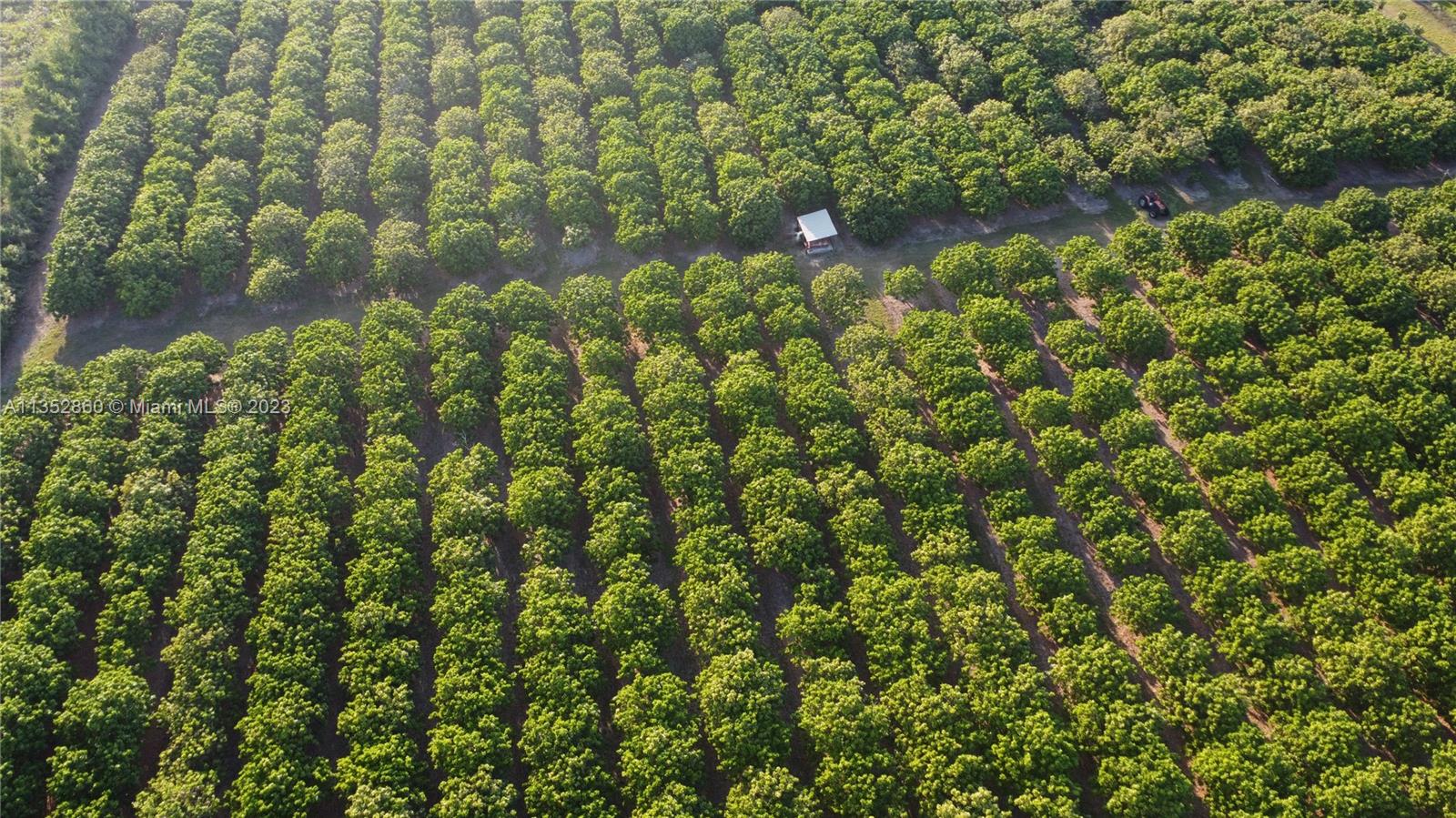 335XX SW 217 Ave, Homestead, Florida 33034, ,Land,For Sale,335XX SW 217 Ave,A11352860