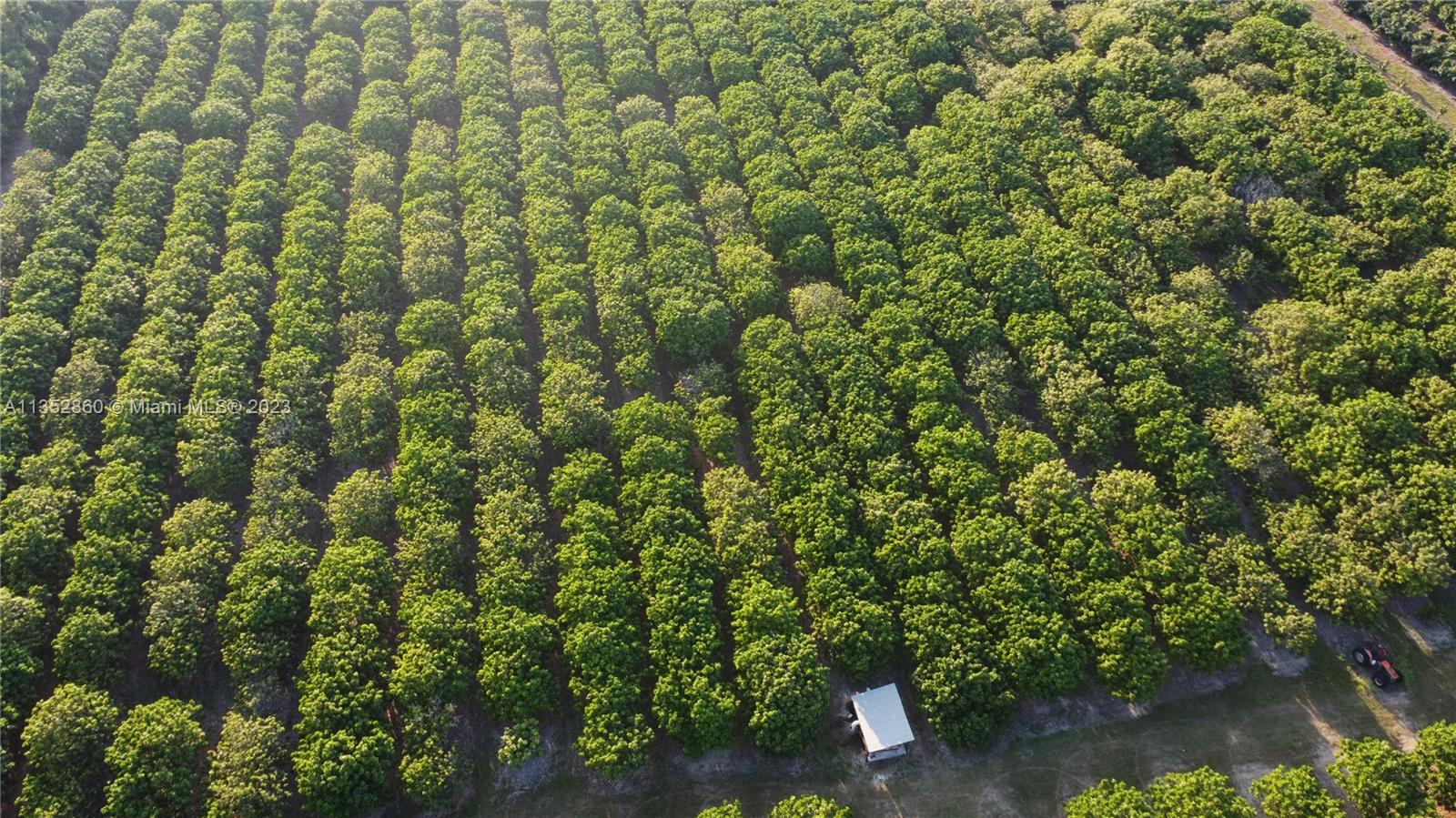 335XX SW 217 Ave, Homestead, Florida 33034, ,Land,For Sale,335XX SW 217 Ave,A11352860