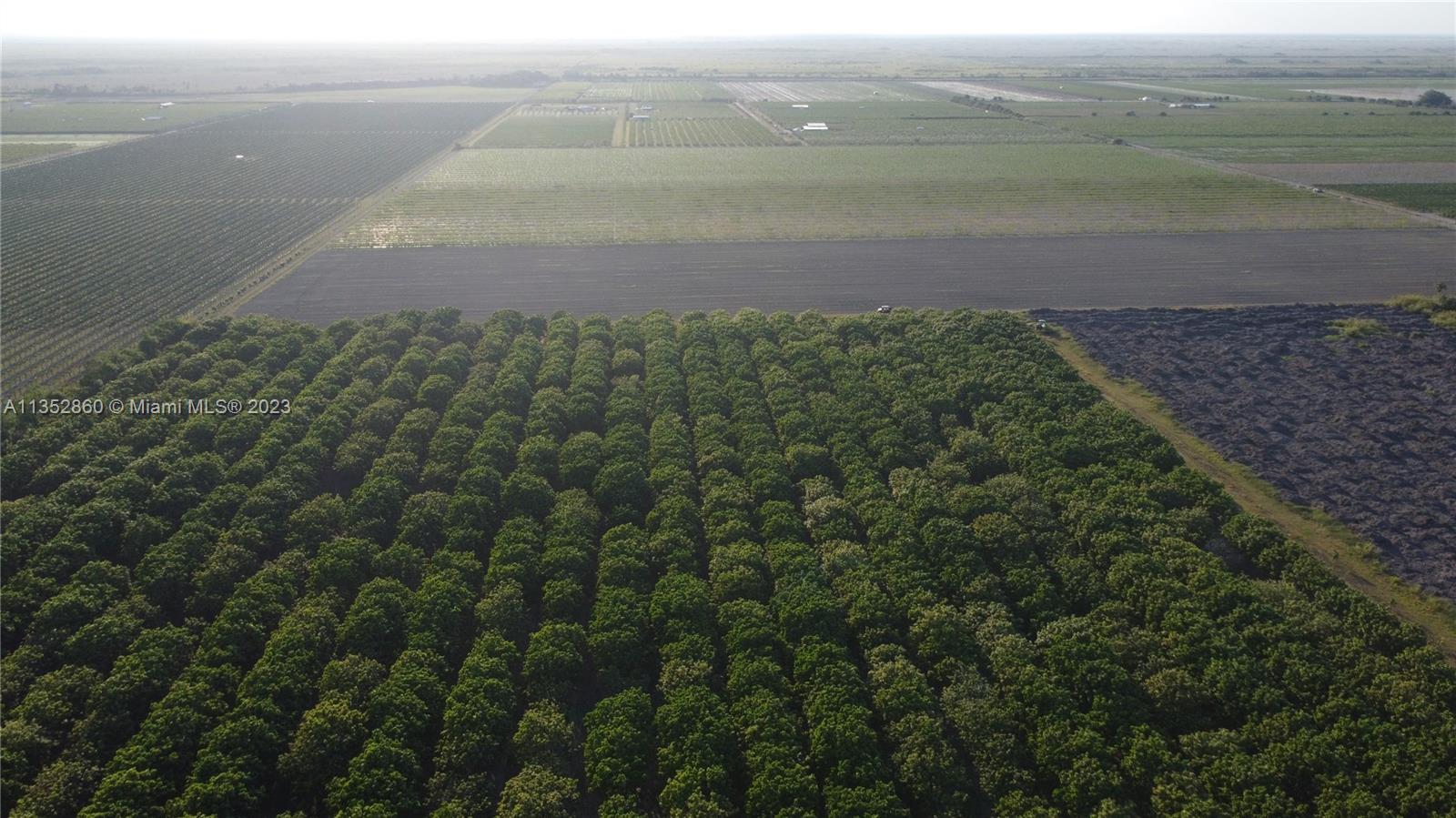 335XX SW 217 Ave, Homestead, Florida 33034, ,Land,For Sale,335XX SW 217 Ave,A11352860