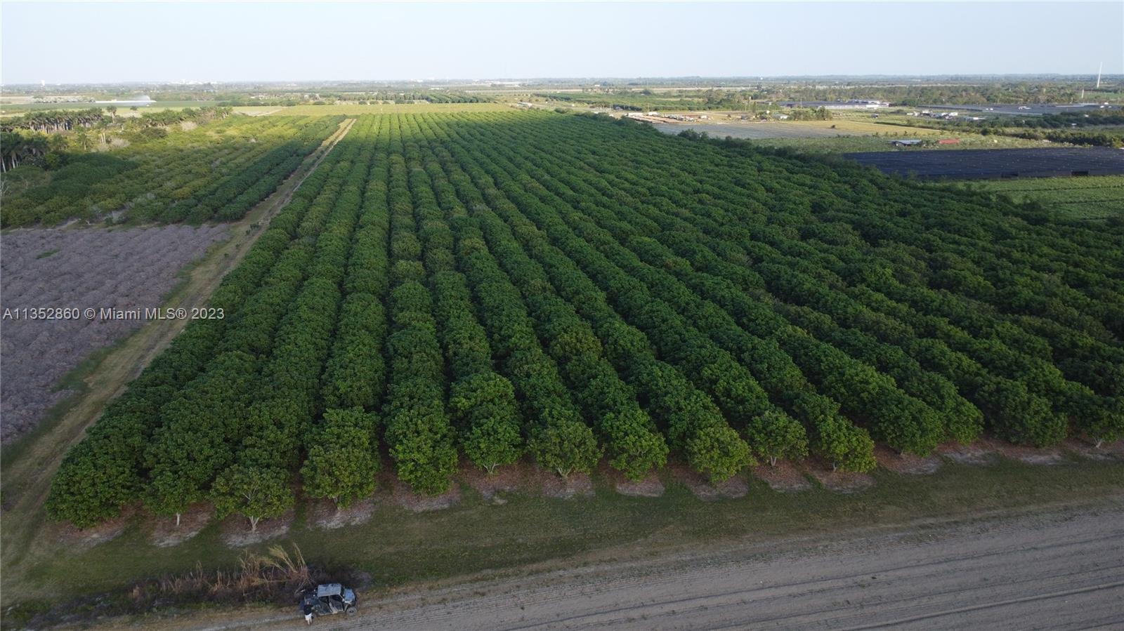 335XX SW 217 Ave, Homestead, Florida 33034, ,Land,For Sale,335XX SW 217 Ave,A11352860