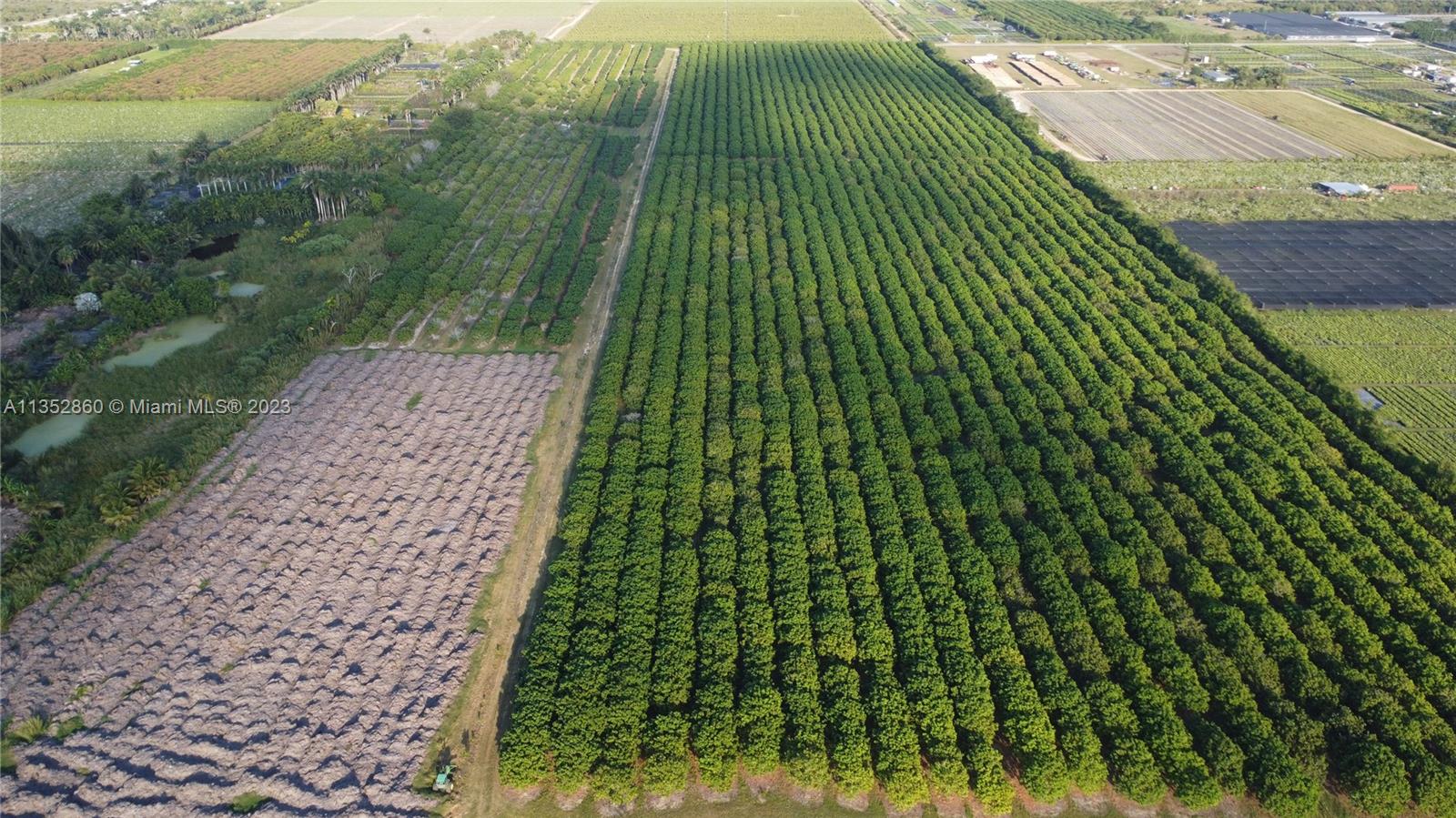 335XX SW 217 Ave, Homestead, Florida 33034, ,Land,For Sale,335XX SW 217 Ave,A11352860