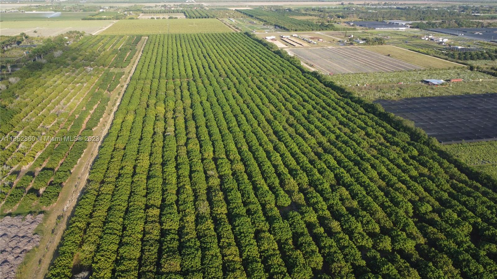 335XX SW 217 Ave, Homestead, Florida 33034, ,Land,For Sale,335XX SW 217 Ave,A11352860