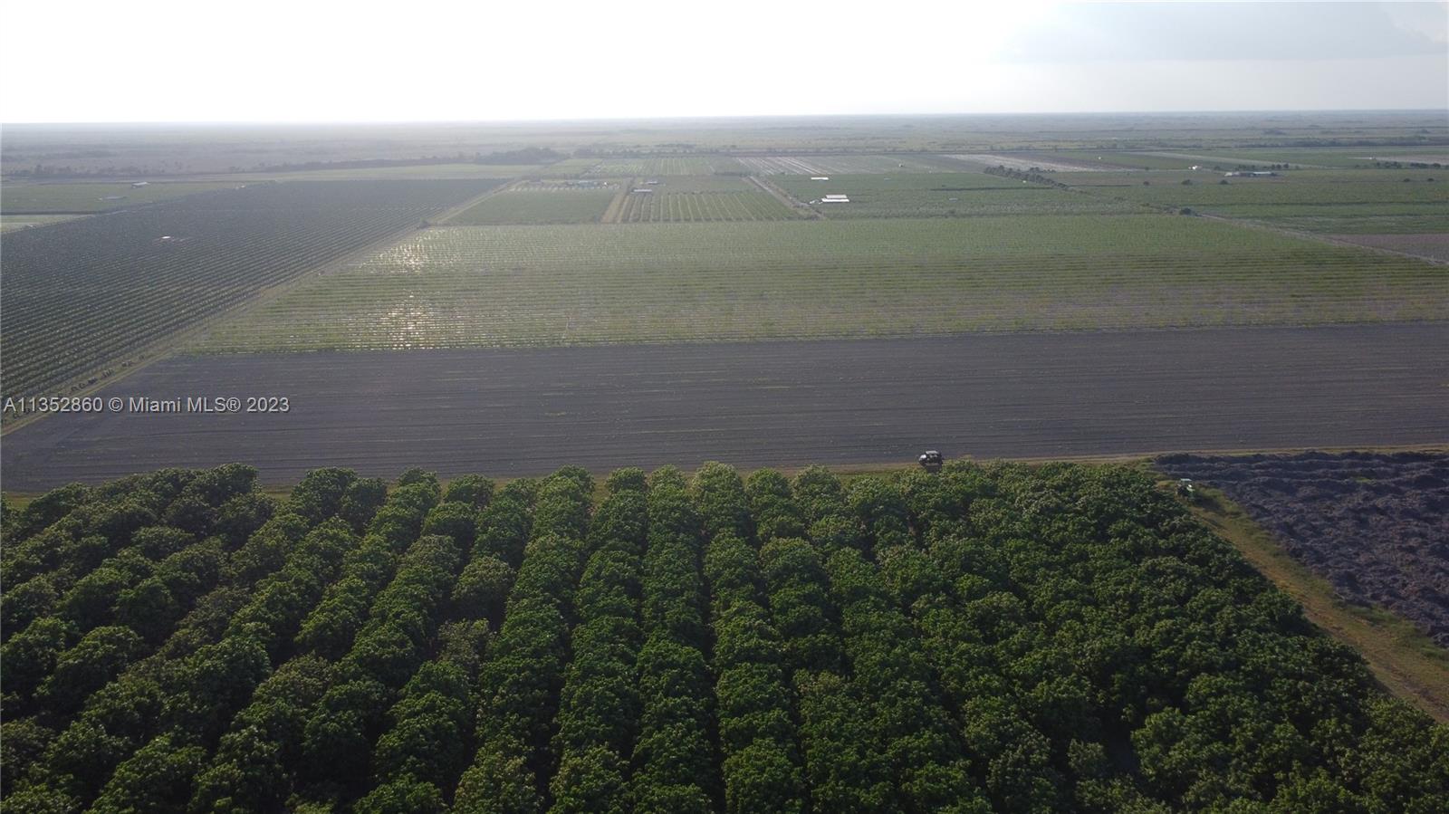 335XX SW 217 Ave, Homestead, Florida 33034, ,Land,For Sale,335XX SW 217 Ave,A11352860