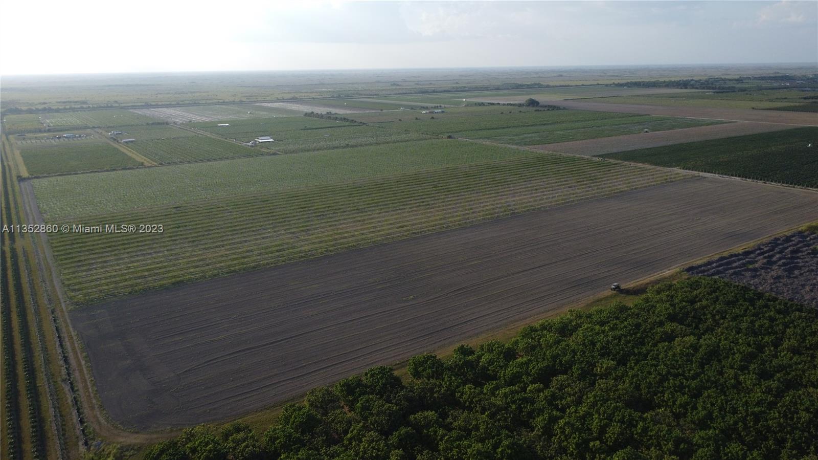 335XX SW 217 Ave, Homestead, Florida 33034, ,Land,For Sale,335XX SW 217 Ave,A11352860