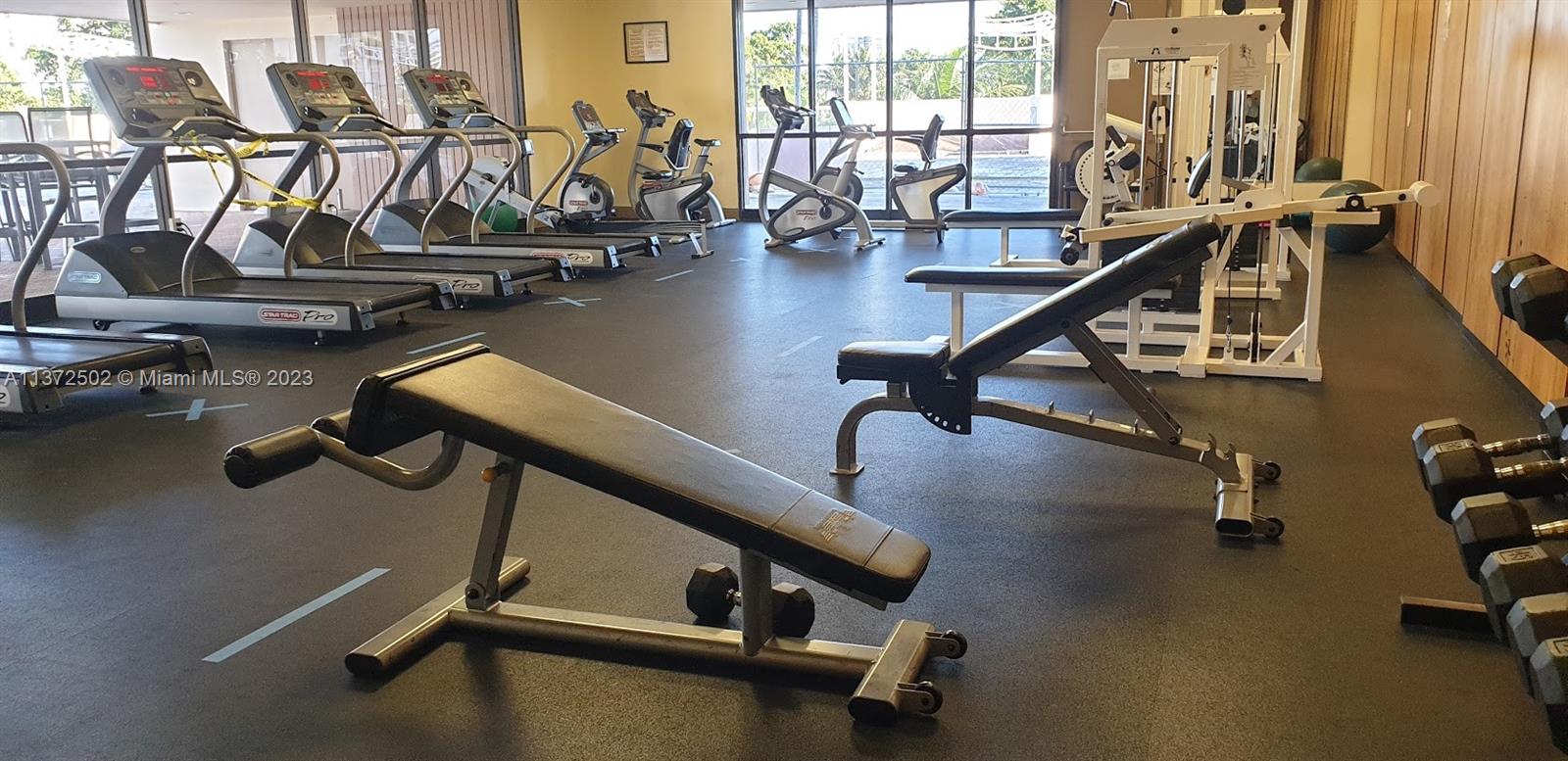 gym