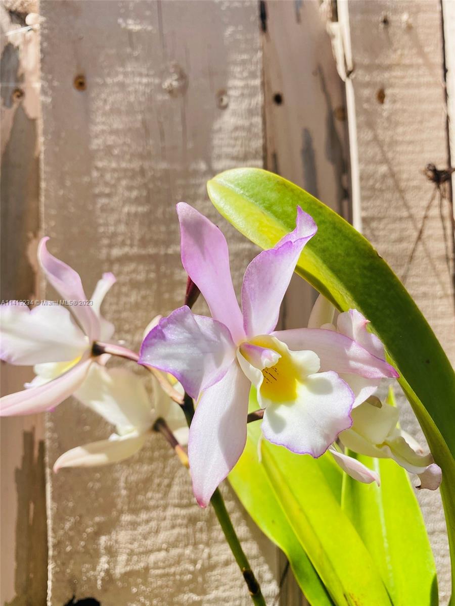 Tamarac, Florida 33321, 2 Bedrooms Bedrooms, ,2 BathroomsBathrooms,Residentiallease,For Rent,A11419234