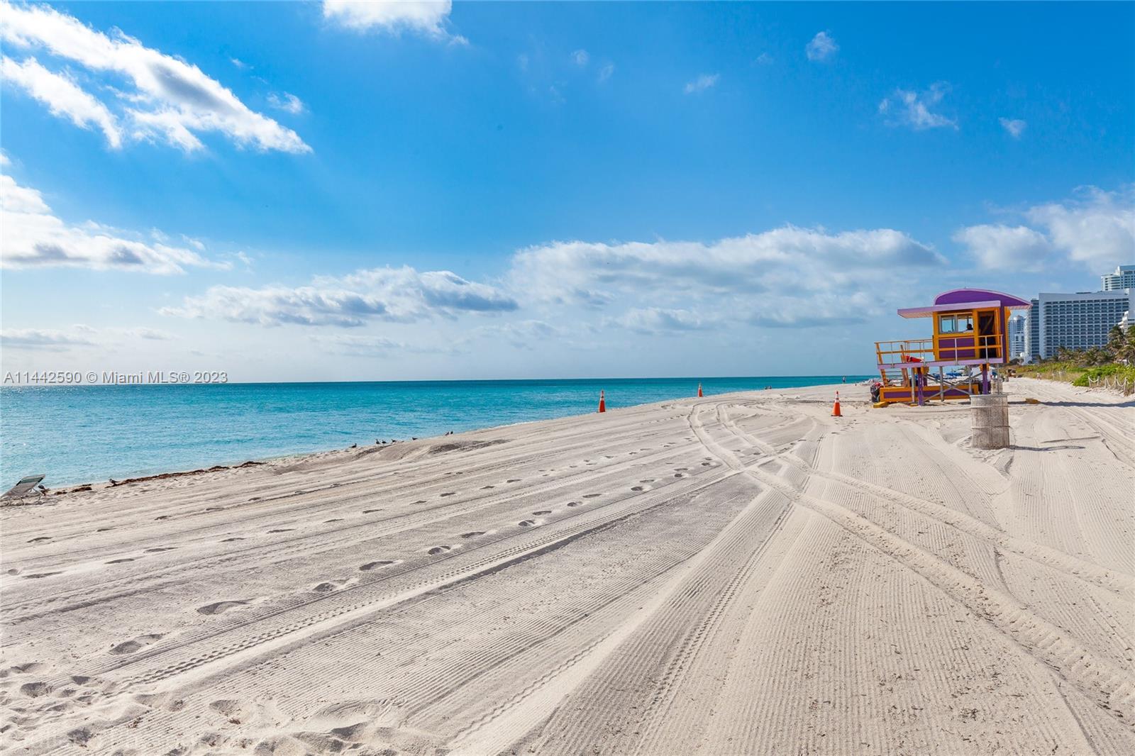 Ocean in your backyard