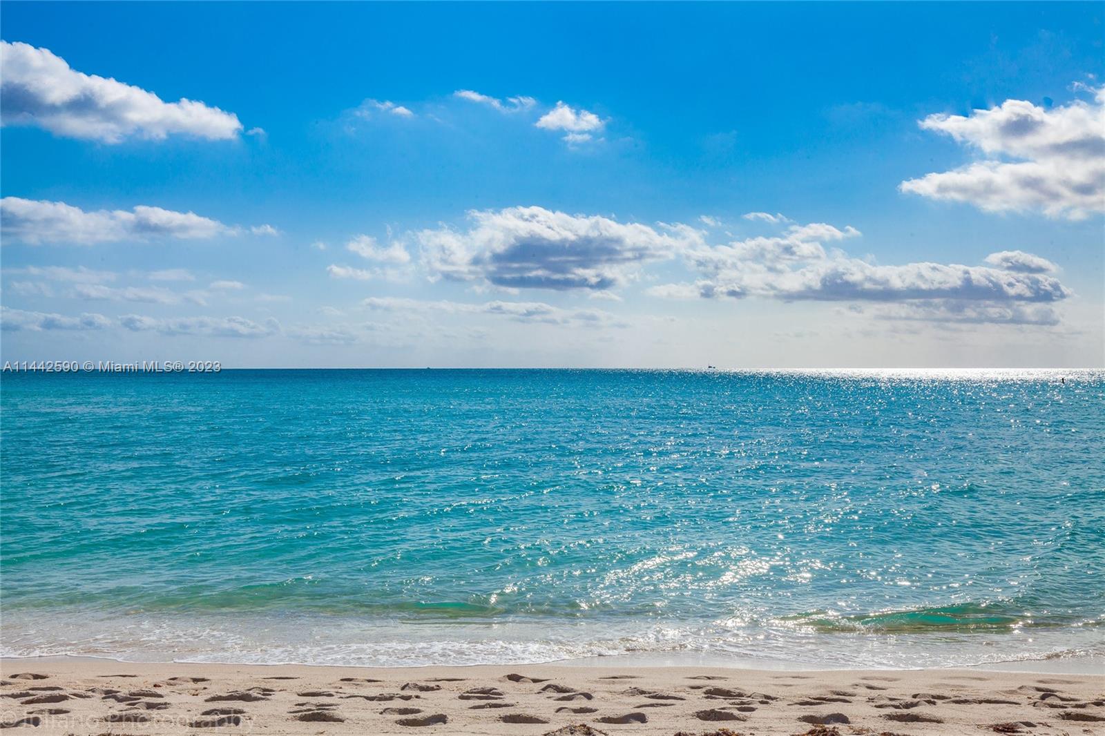 The beach in back of the bldg