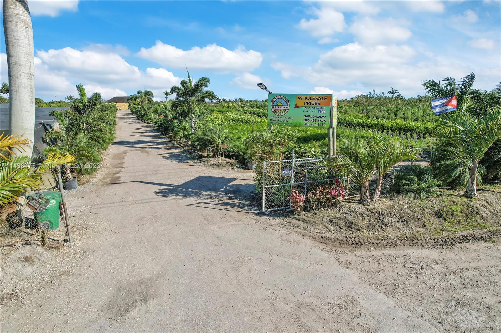 DRIVEWAY INTO COMPOUND