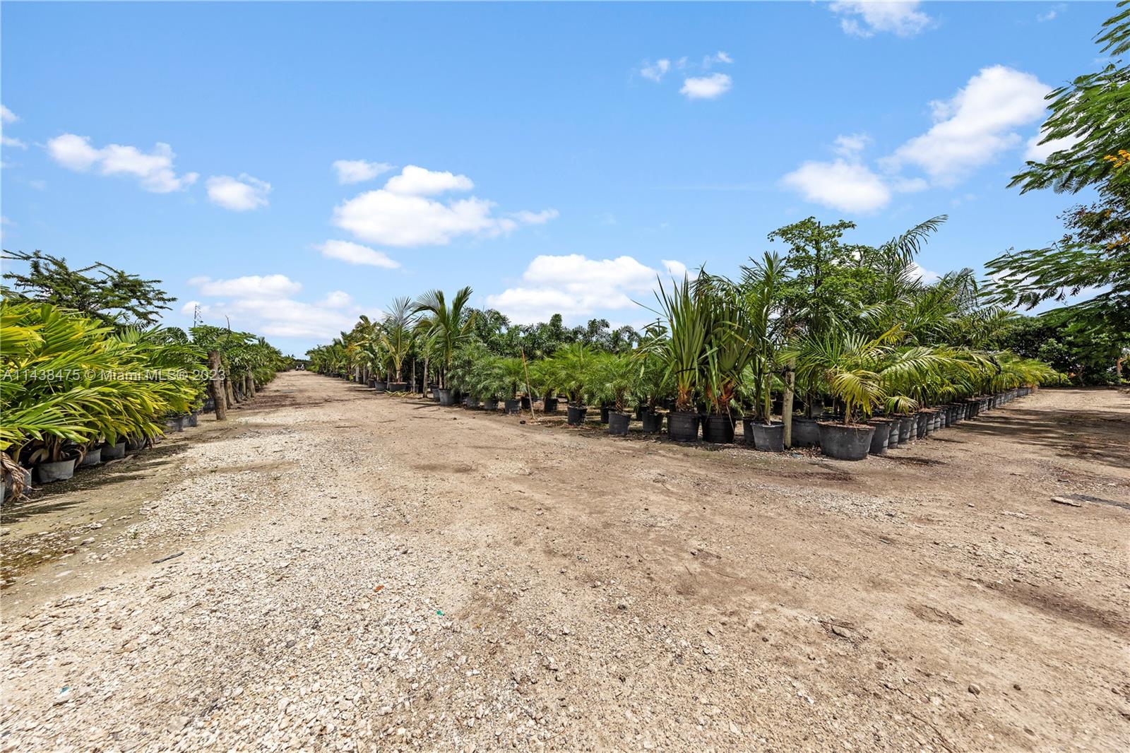 ALL PLANT MATERIAL IS INCLUDED