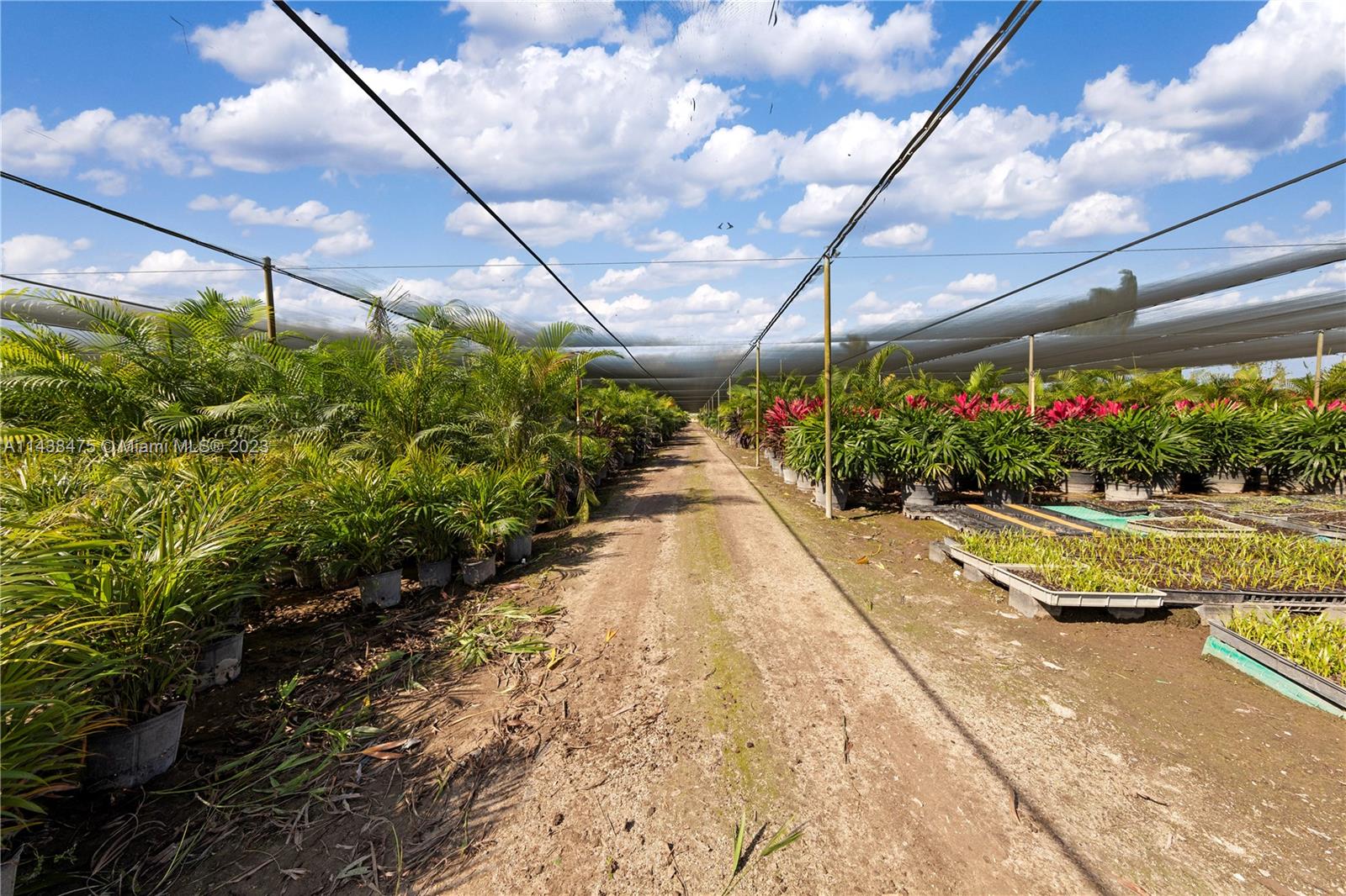 INSIDE SHADEHOUSE..IRRIGATED 15 ACRES GROW ORGANIC VEGGIES IF DESIRED.