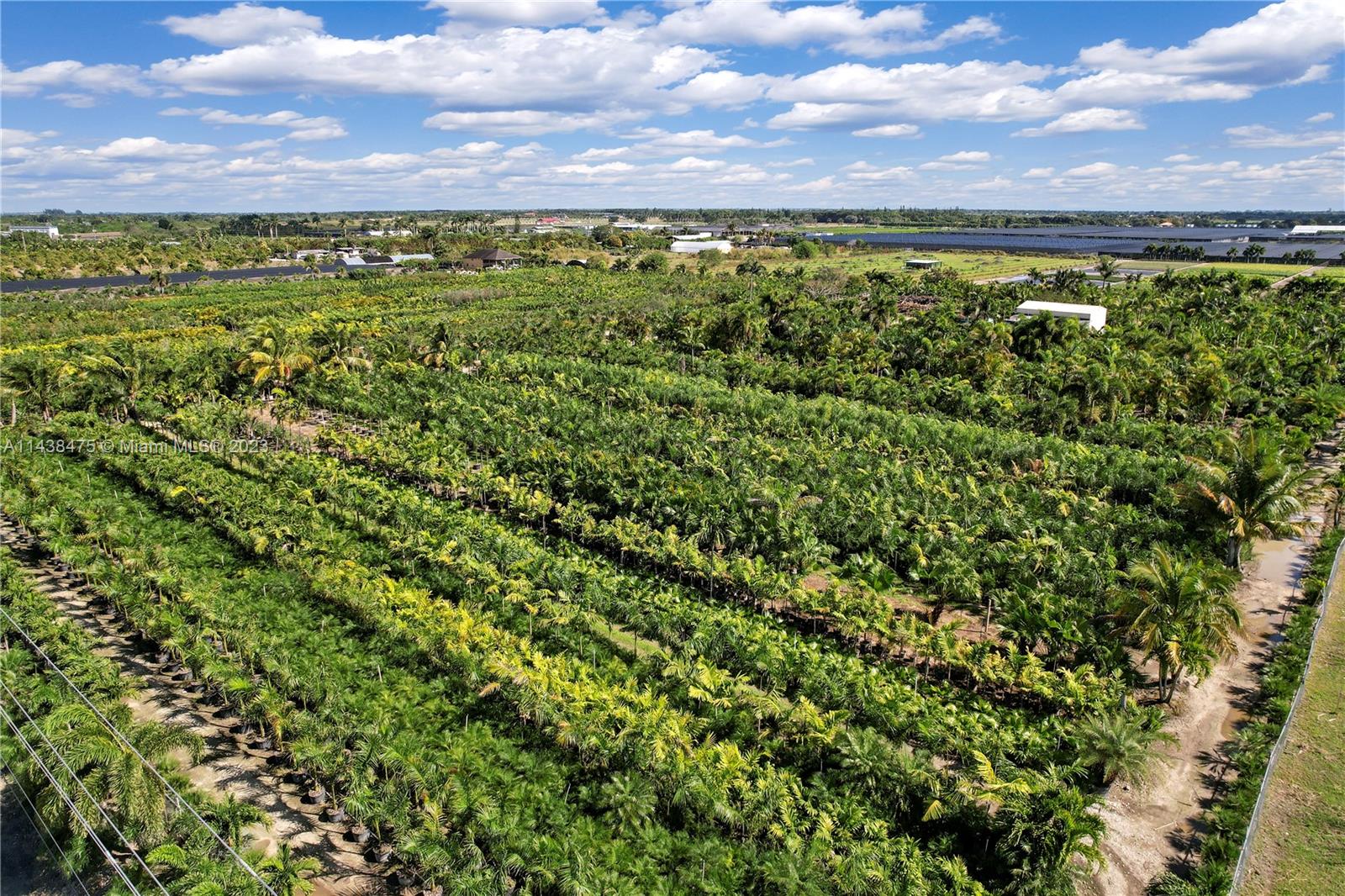 LUSH LARGE PALMS AND EXOTICS ALLOW GREAT SEPERATION BETWEEN BUILDINGS. 
 ON THIS 15 ACRE COMPOUND. ALL Can be reached thru roads within the compound but also has another entrance off sw 197 ave together yet separate. Imagine reoutfitting. Great place to add a water grotto w waterfalls utilizing the coral rock avail on site as well as all this plant material avail to relocate as desired ..A you need is the beach sand!! GREAT ENTERTAINMENT VENUE FOR OFF ROADING AS WELL. SO MANY OPPORTUNIES.