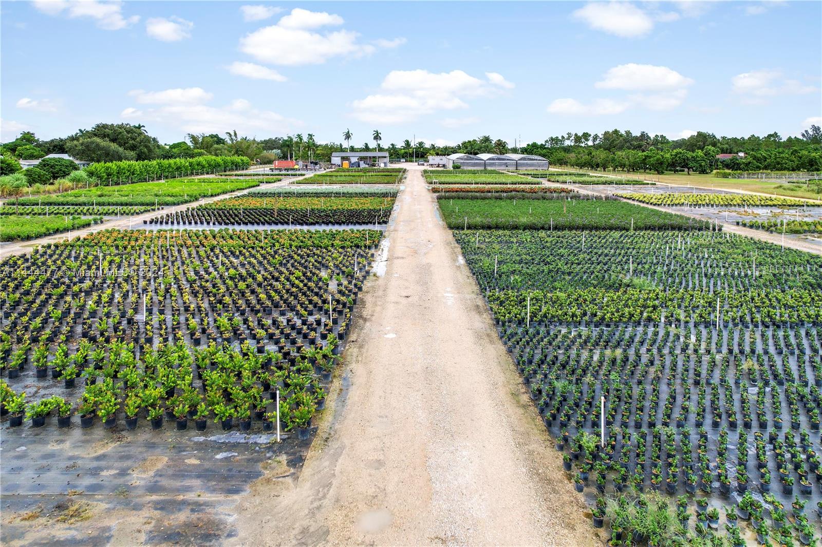 #1 DIESEL IRRIGATION EACH WITH  270+ GALLON TANKS