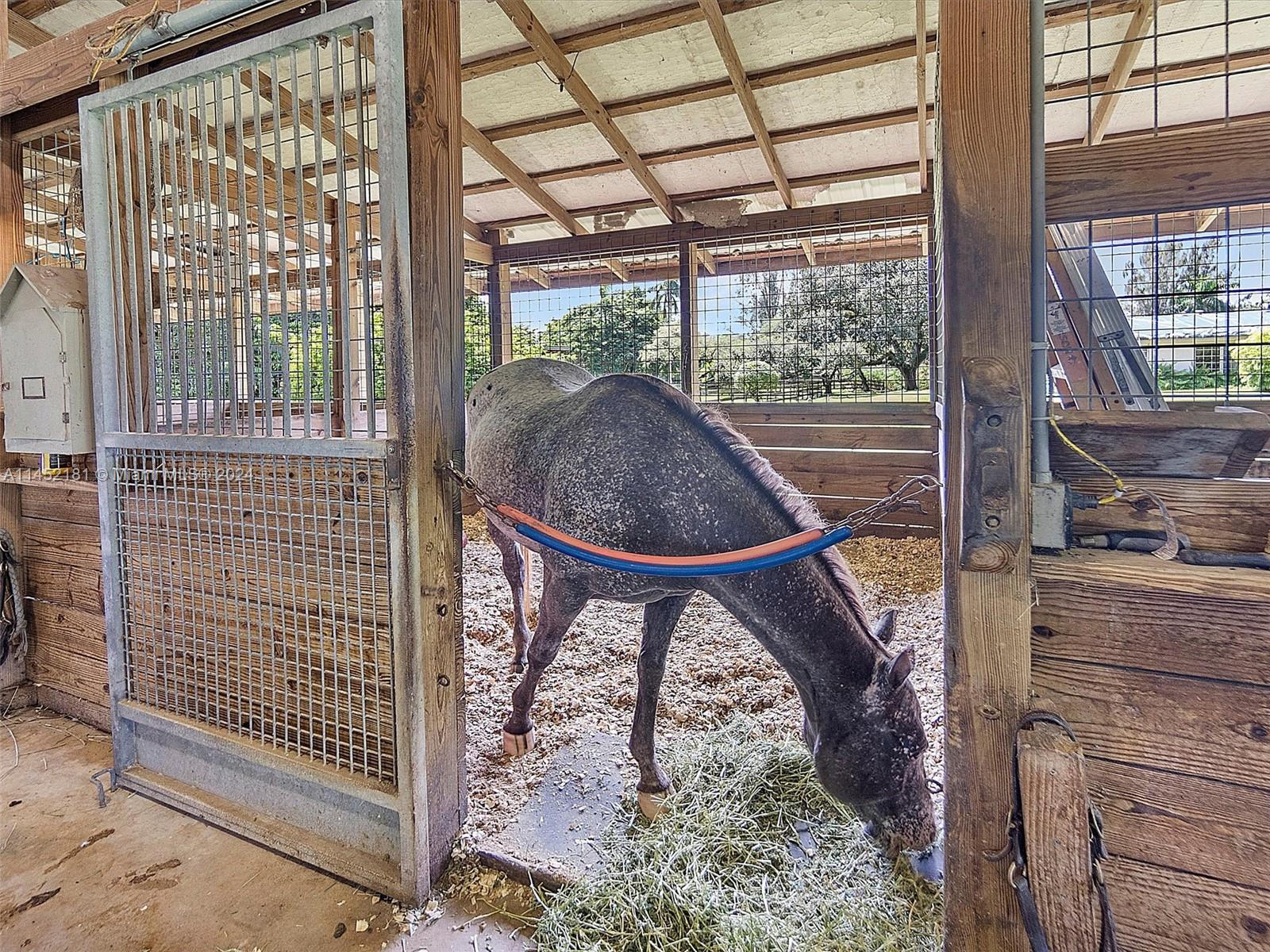 Roomy stalls with secure entrances