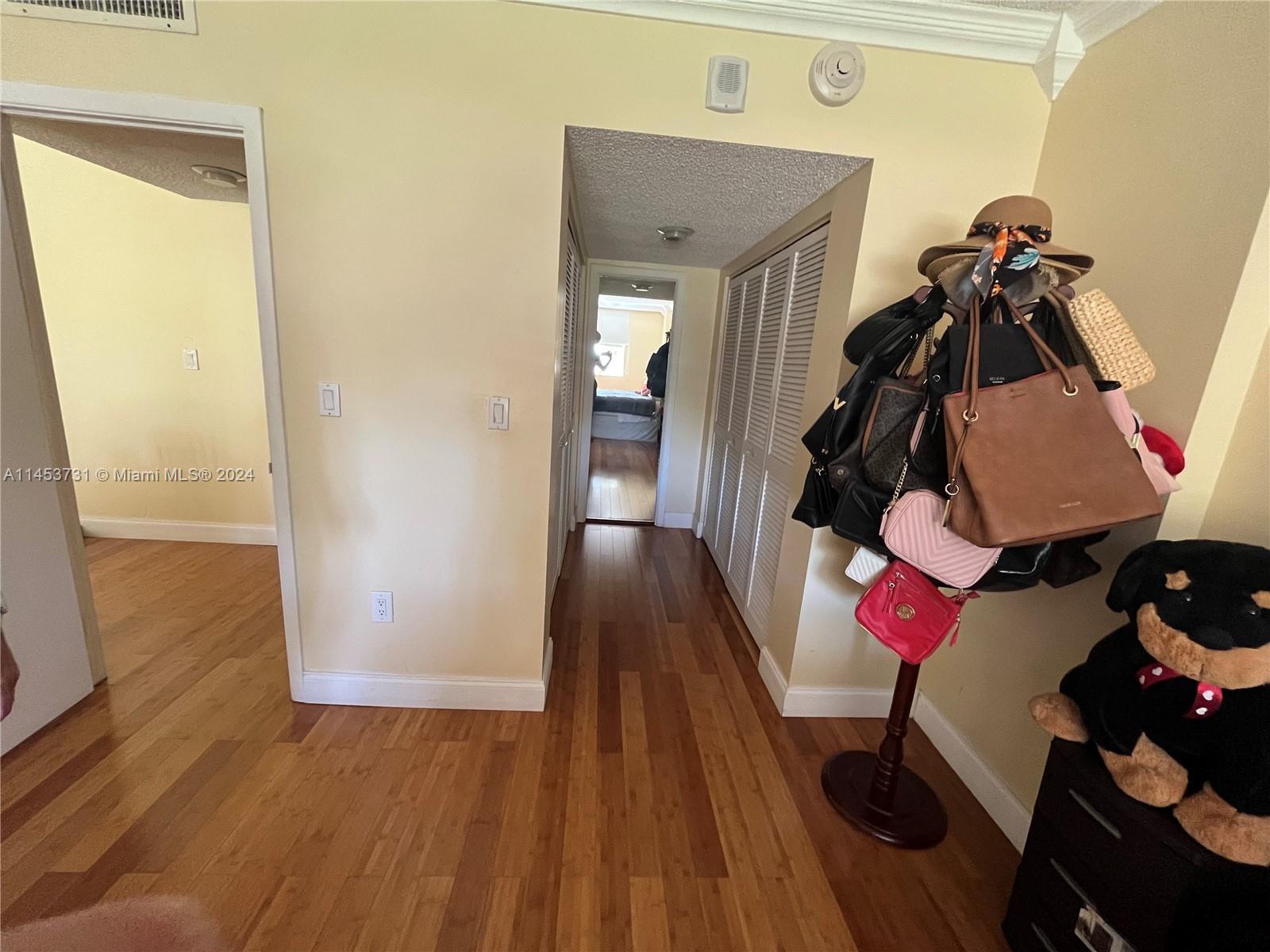 Walking closet hallway.
Very spatious walking closet. 
The closet separate the bathroom from the bedroom.
(photo from the bed)