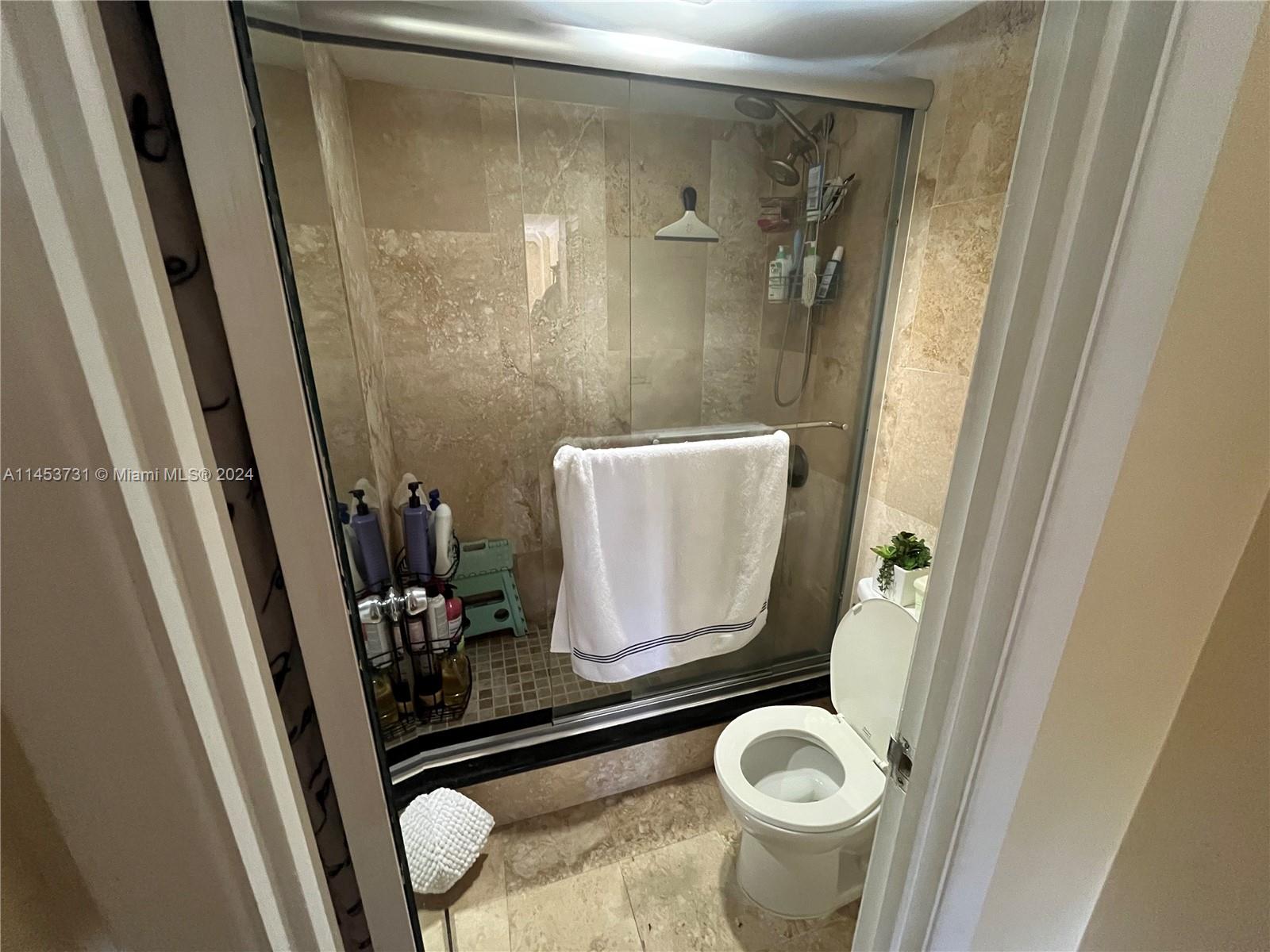 Shower, toilet, glass railings