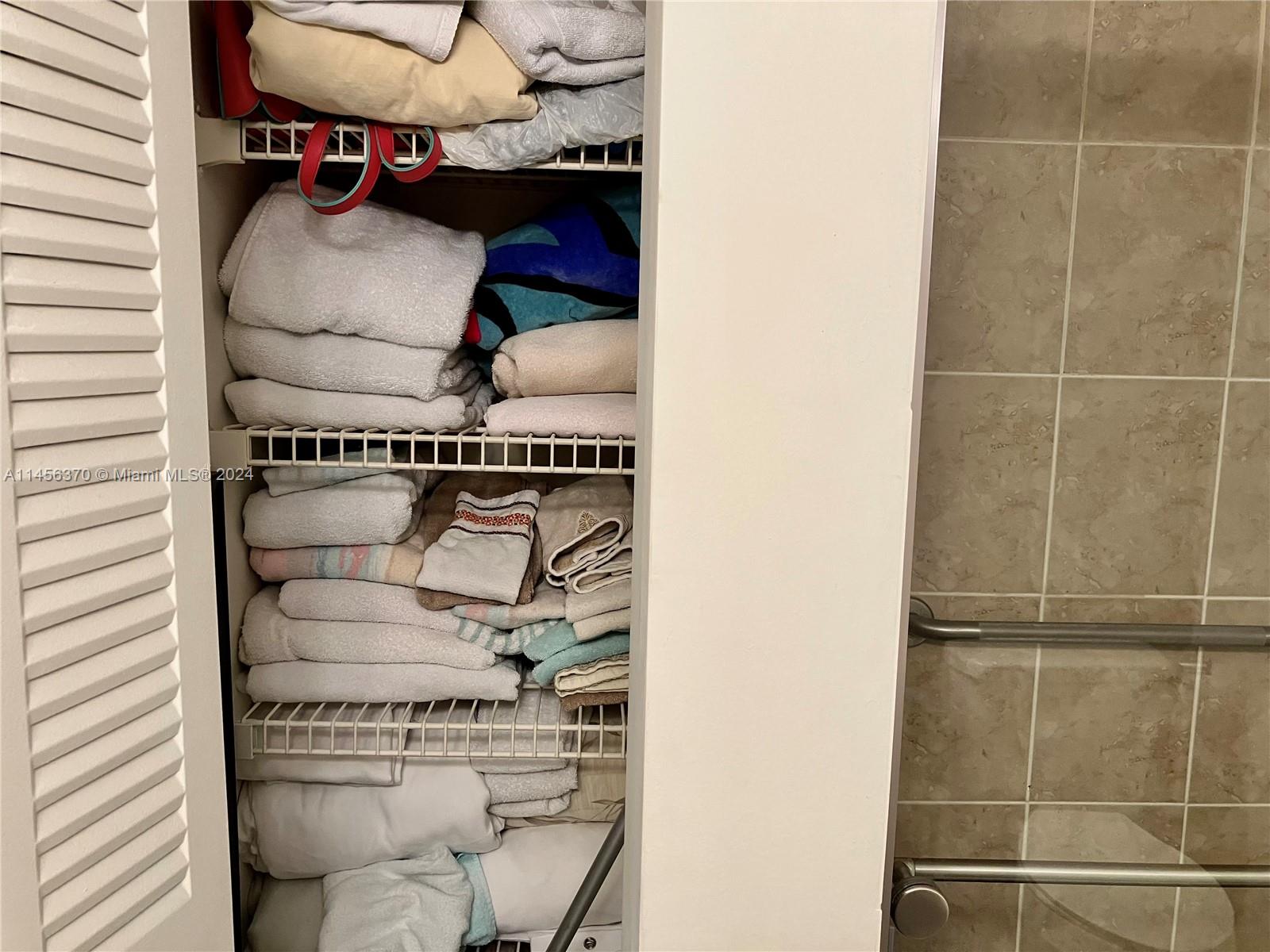 Linen Closet in Master Bath