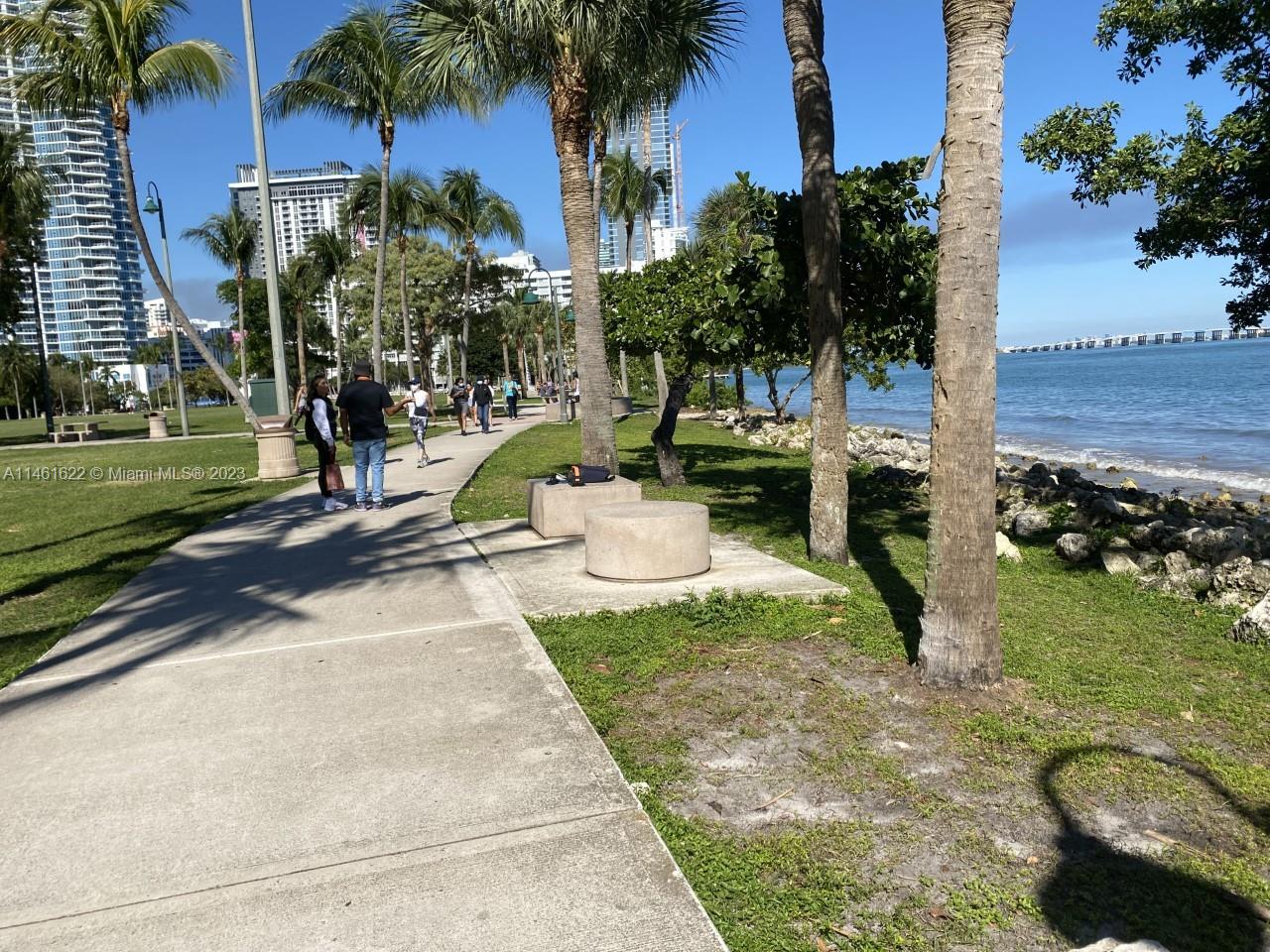 My friends love walking with their pets in the park