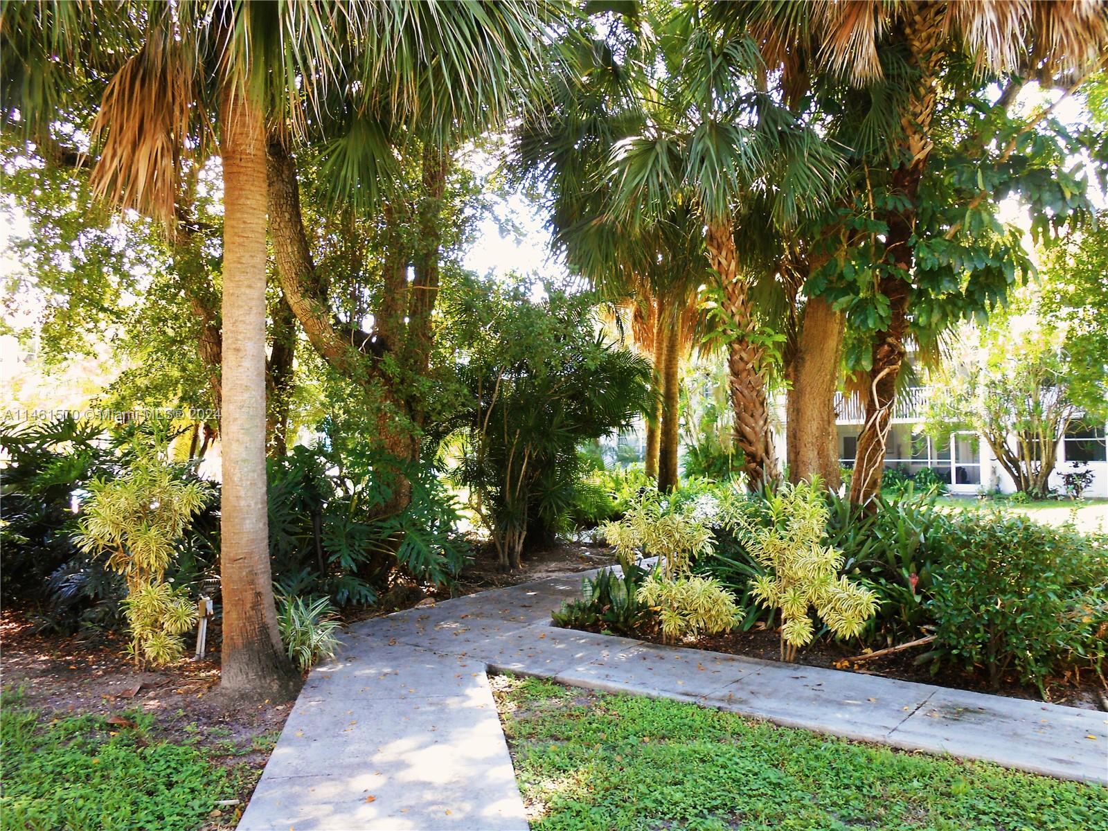 Relaxing walkway near pool area