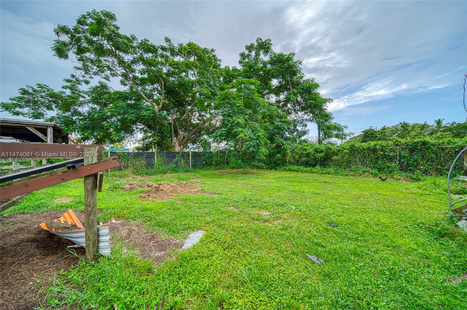 Yard