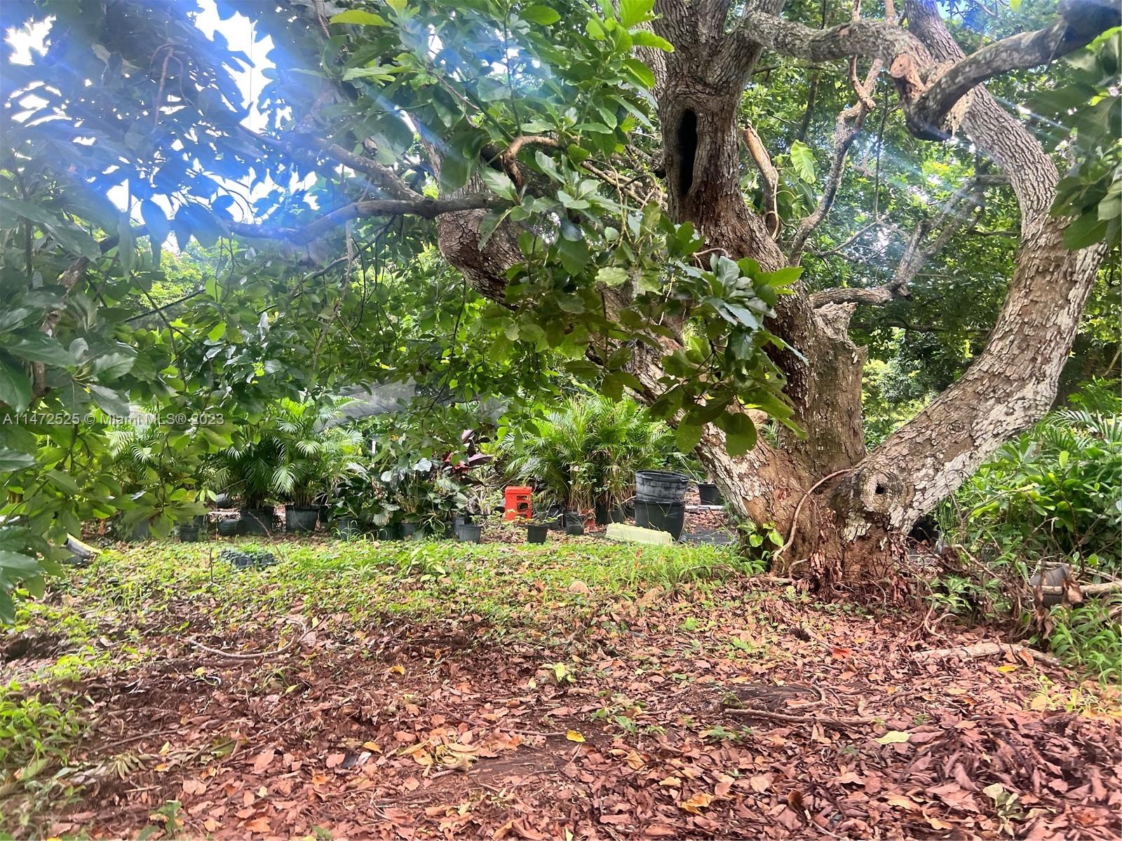 Yard
