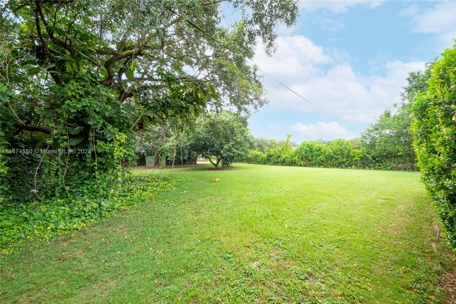 Yard