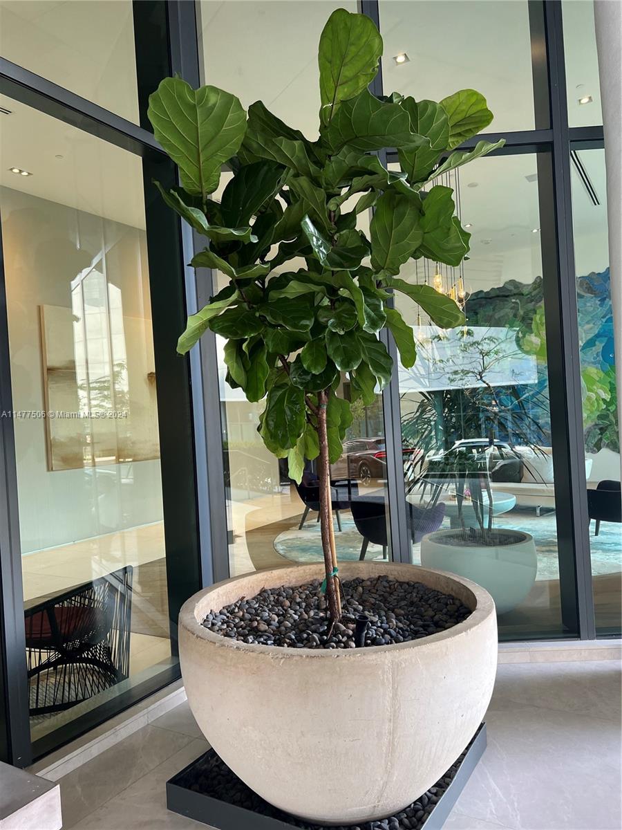 Miami, Florida 33137, 1 Bedroom Bedrooms, ,2 BathroomsBathrooms,Residentiallease,For Rent,A11477506