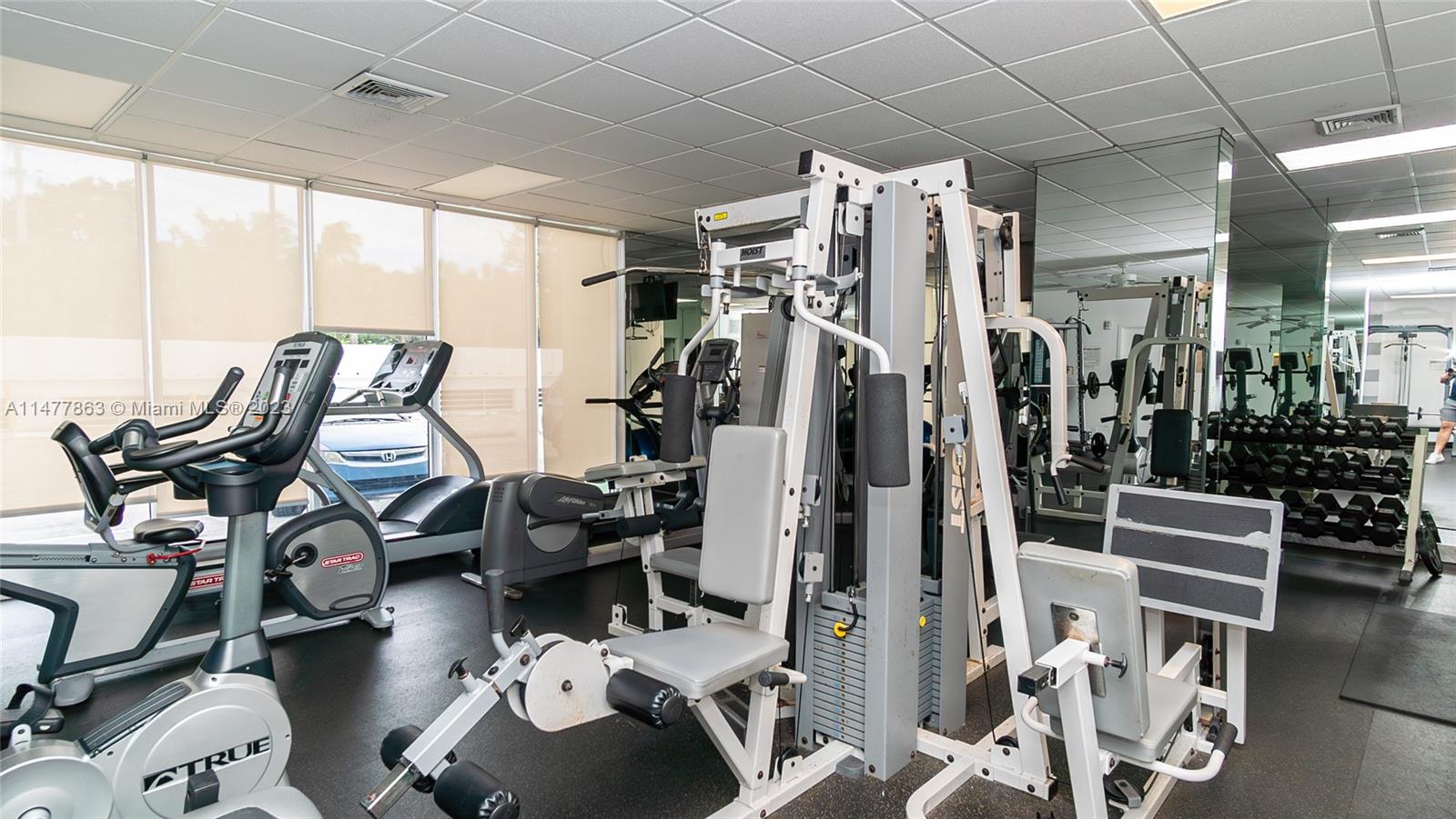 Gym