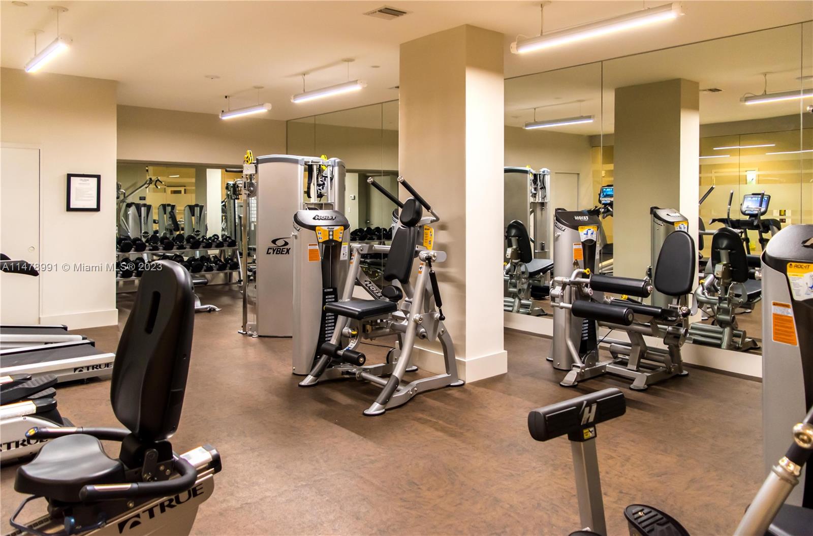 Gym