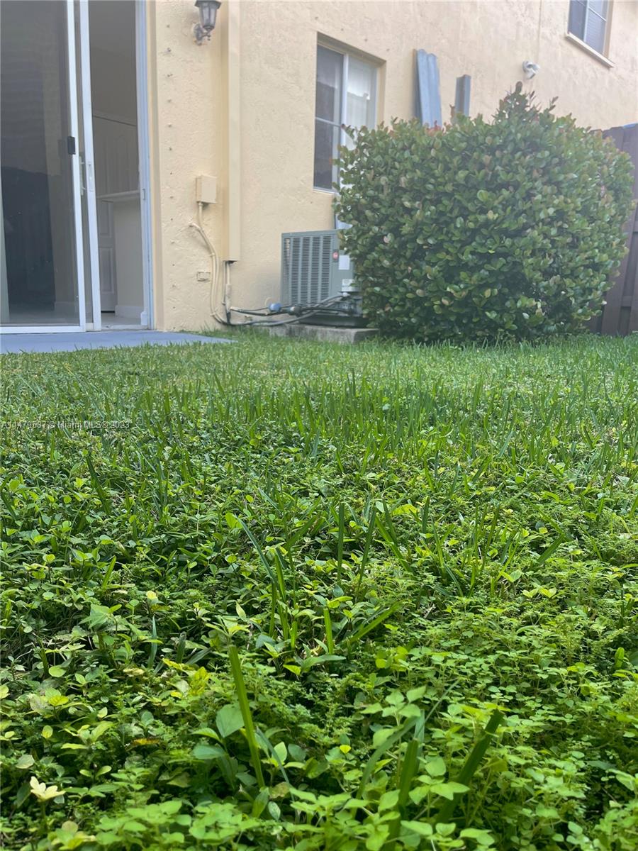 Yard