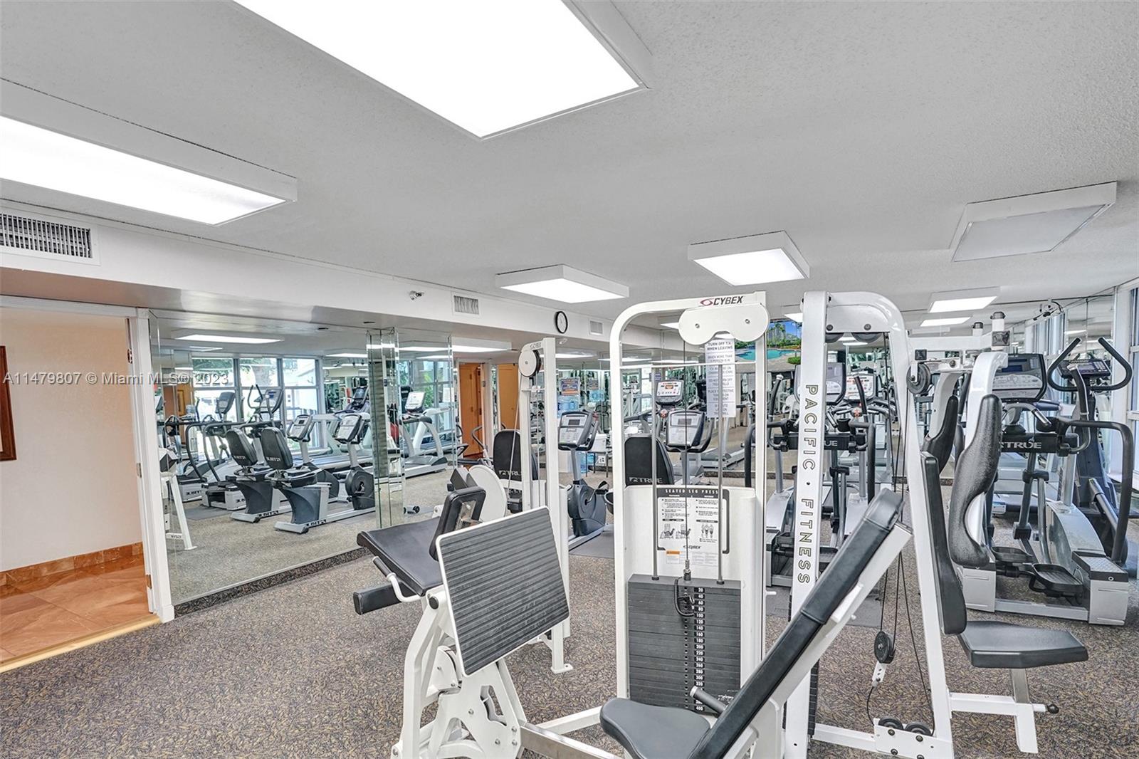 Gym