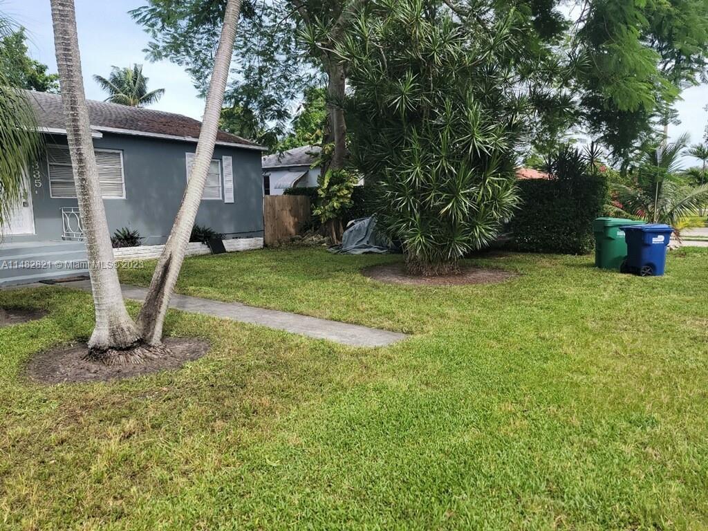 Yard
