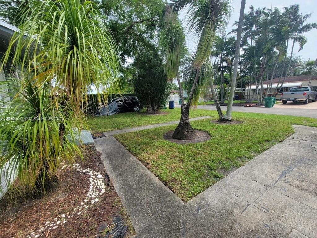 Yard