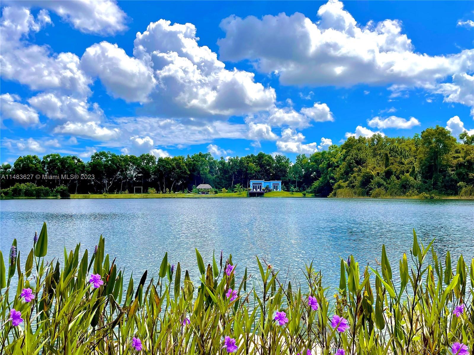 View from Guest House